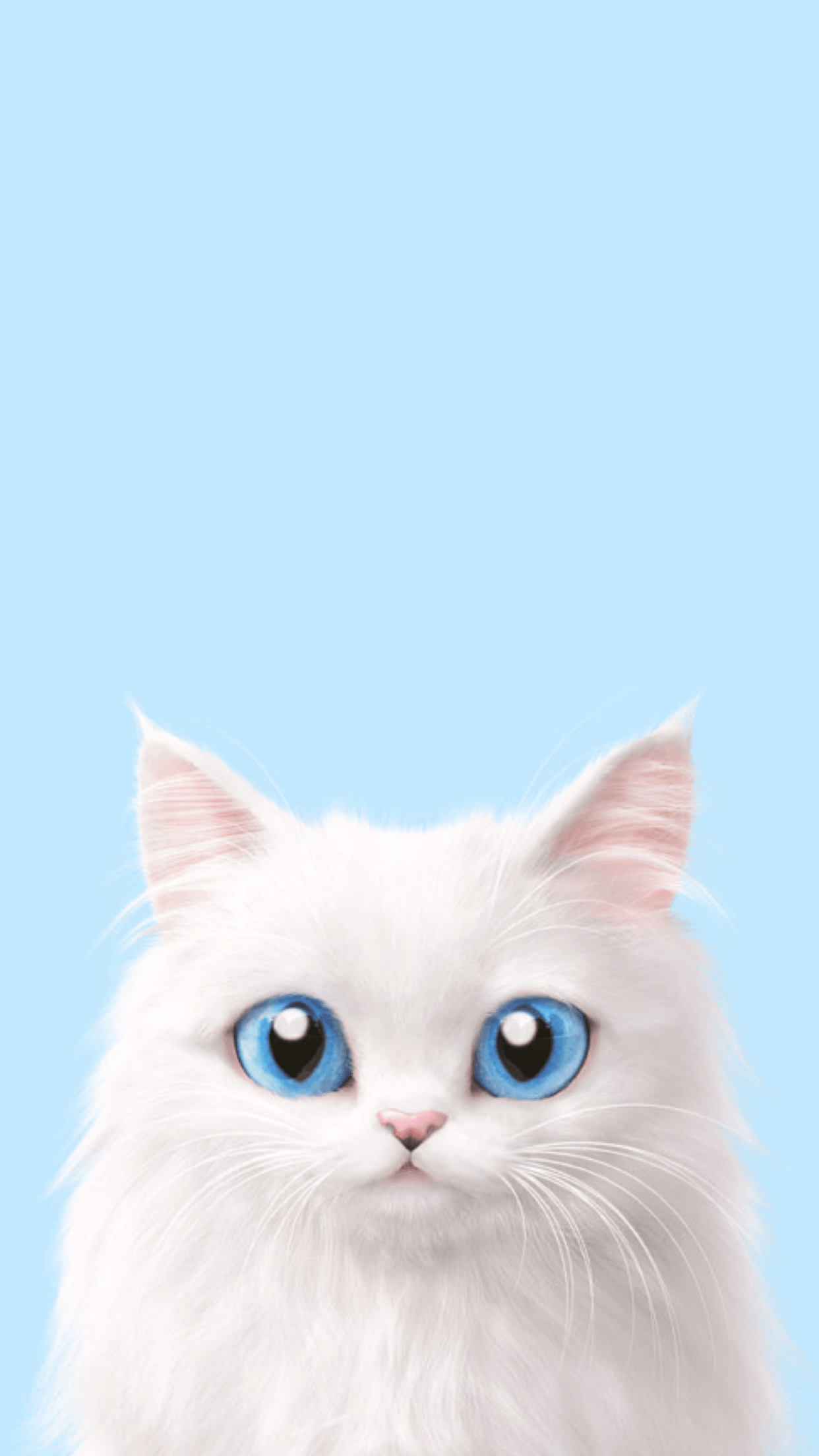 Gatto bianco occhi azzurri, 1242x2208 Full HD Verticale, iPhone