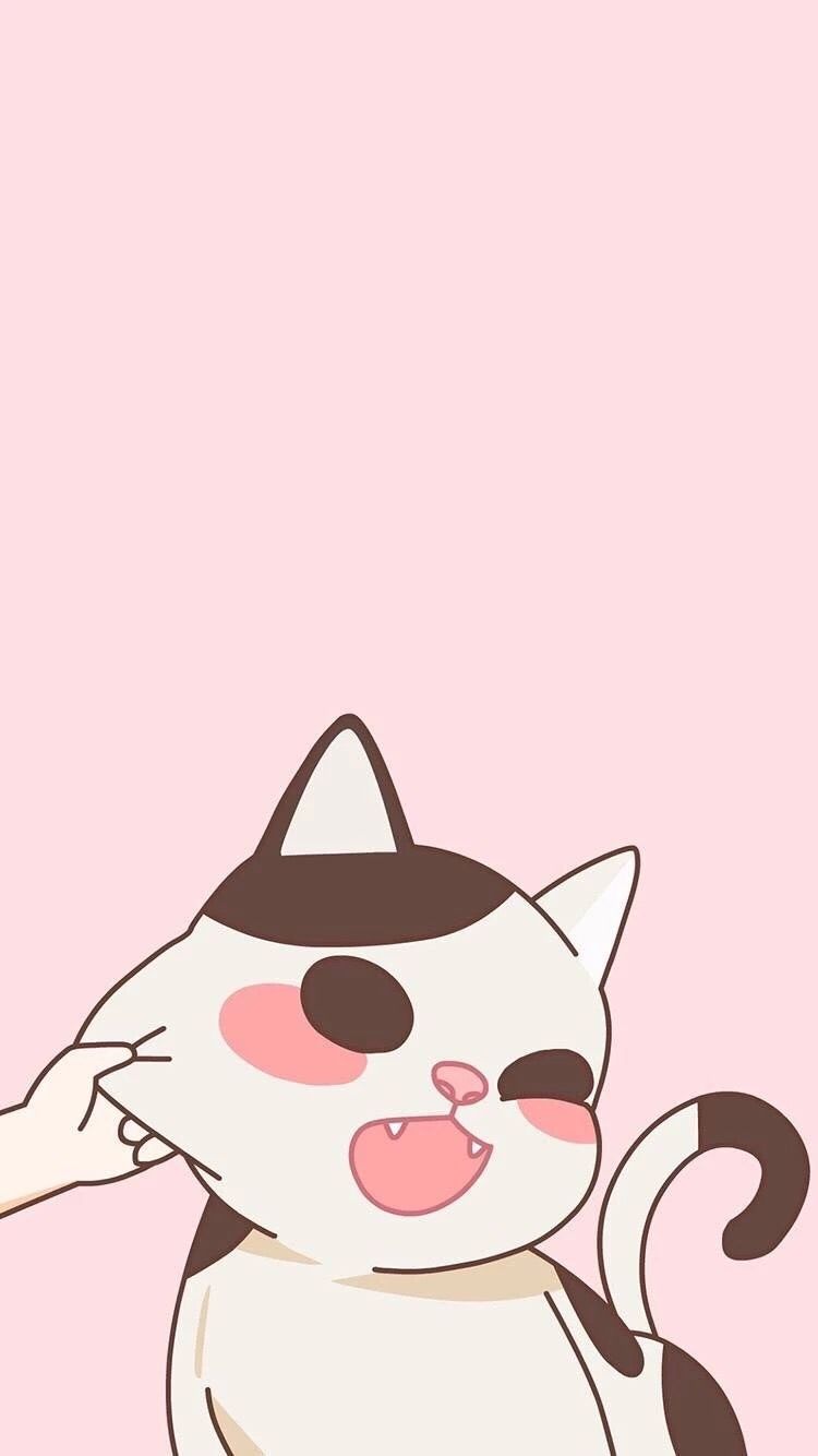 gatto carino sfondo rosa, 750x1334 Verticale, iPhone Pro