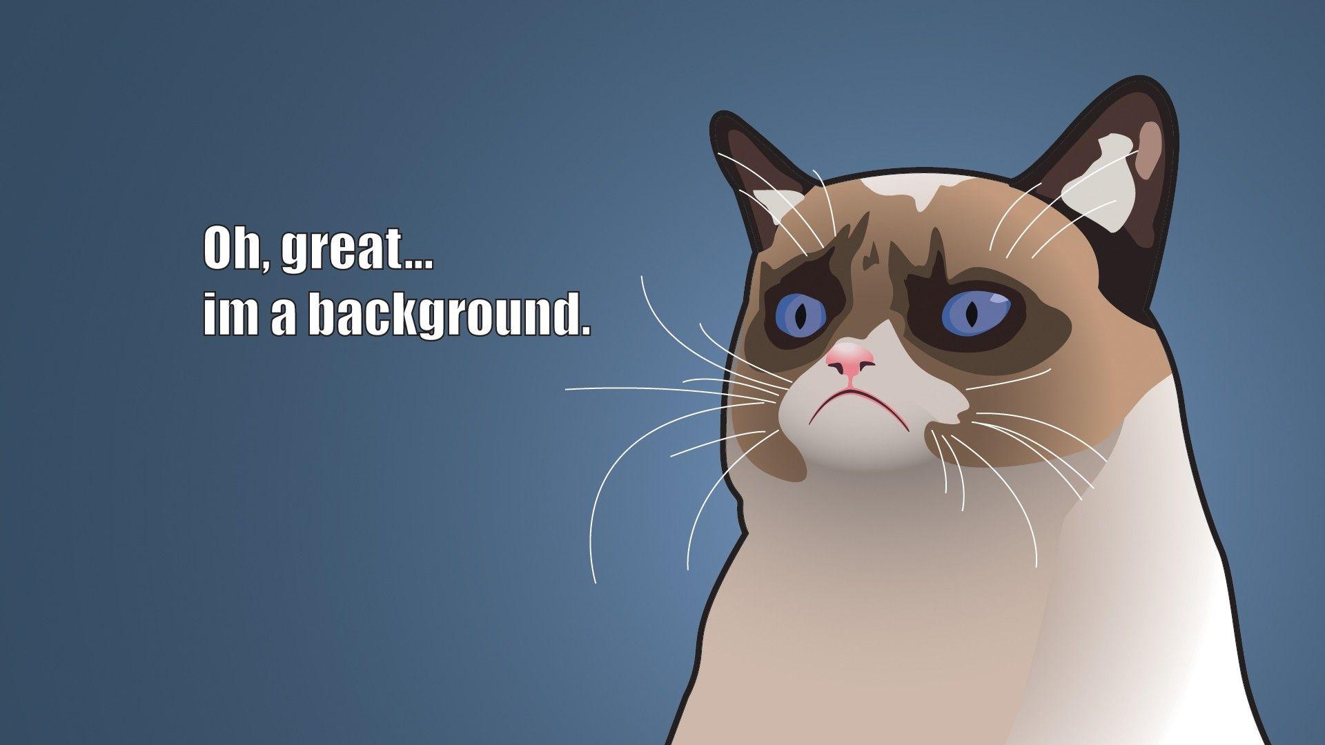 Grumpy Cat sfondo blu, 1920x1080 1080p, PC
