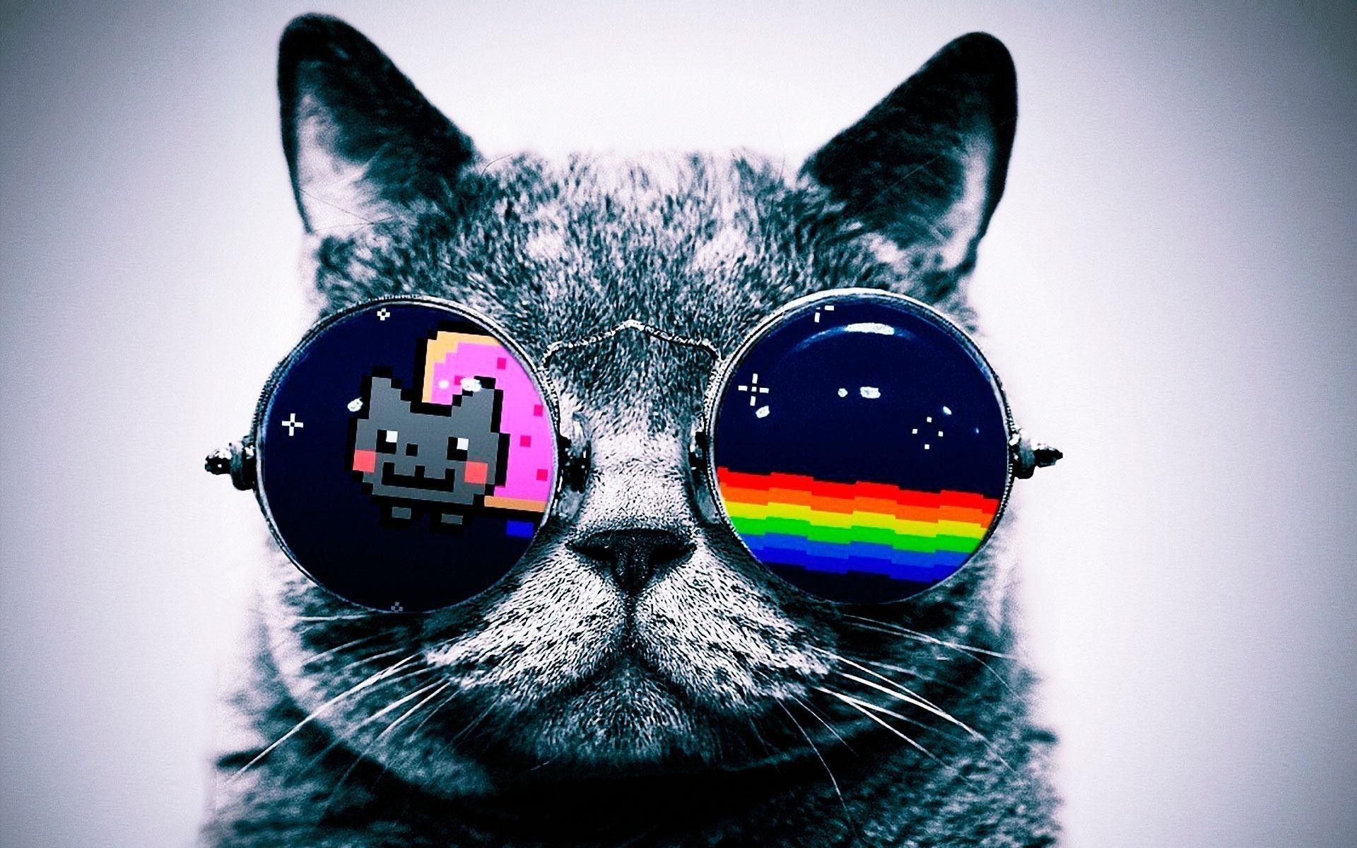 Nyan Cat arcobaleno spazio, meme gatto, 1920x1080 Full HD 1080p, Desktop