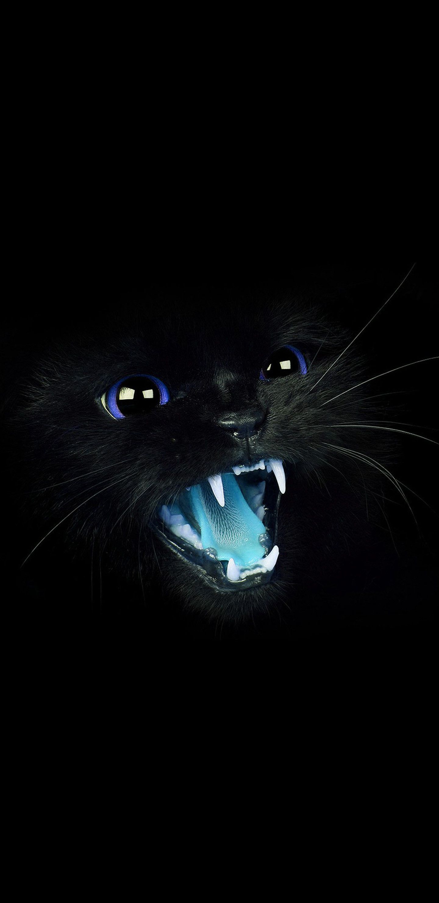 Gatto DJ nello spazio, 827x1390 Full HD Verticale, iPhone