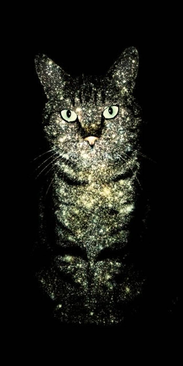 Gatto galassia scintillante nero, 640x1280 Verticale, Telefono