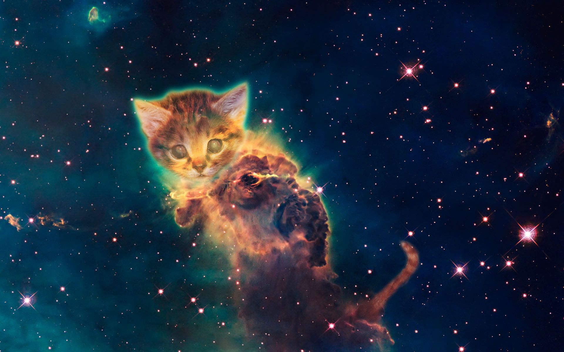 Gatto galassia nello spazio, 1920x1200 WUXGA, Desktop
