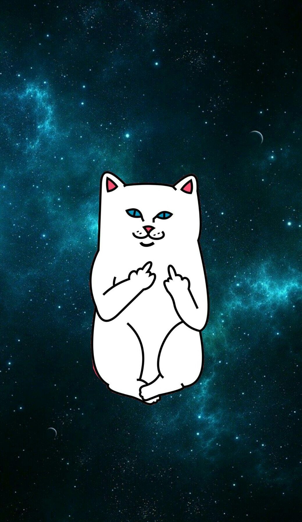 Gatto Stregatto occhi verdi, 1280x1280 720p, PC
