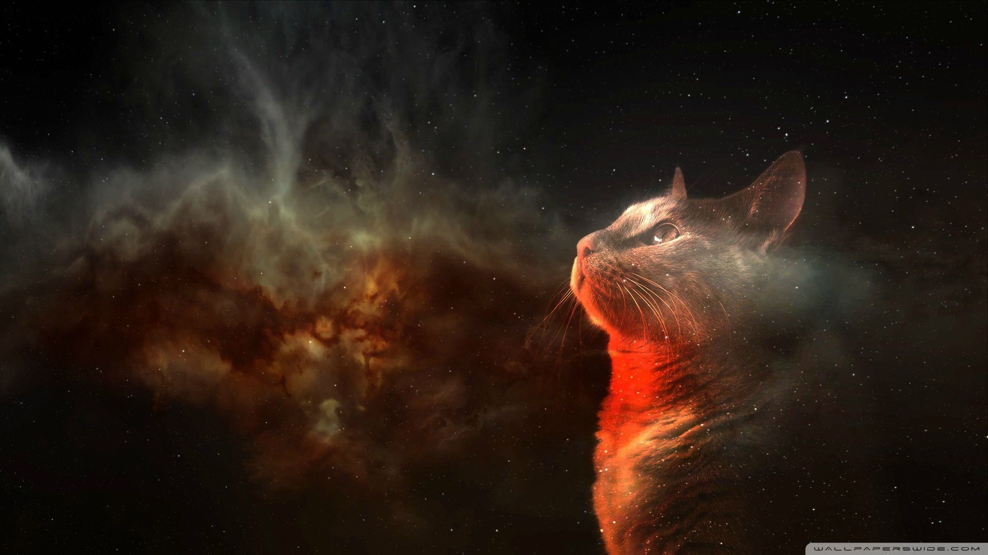 Occhio di gatto con galassia, 1920x1080 Full HD, PC