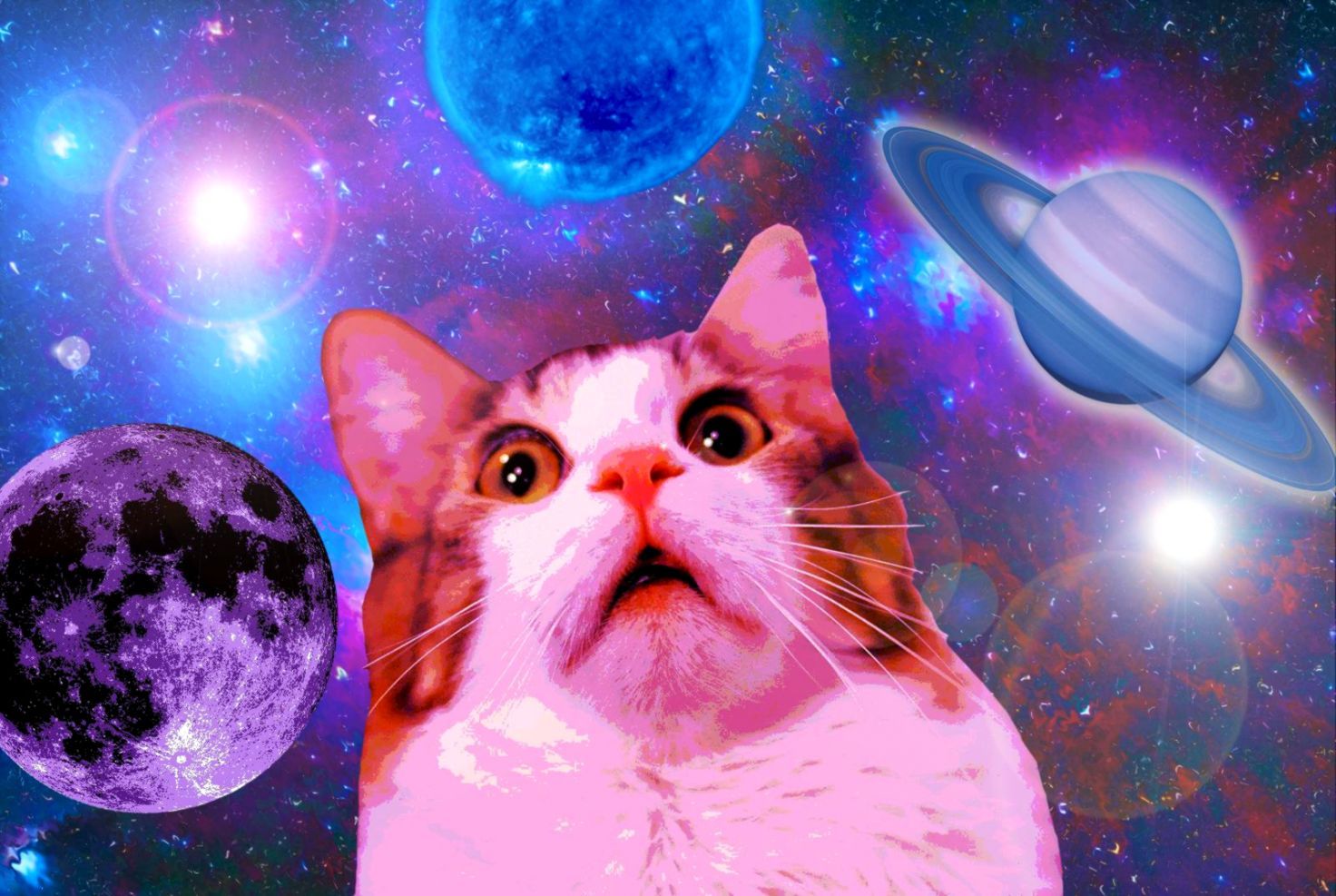 Gatto gigante su collina, 1920x1080 1080p, Desktop