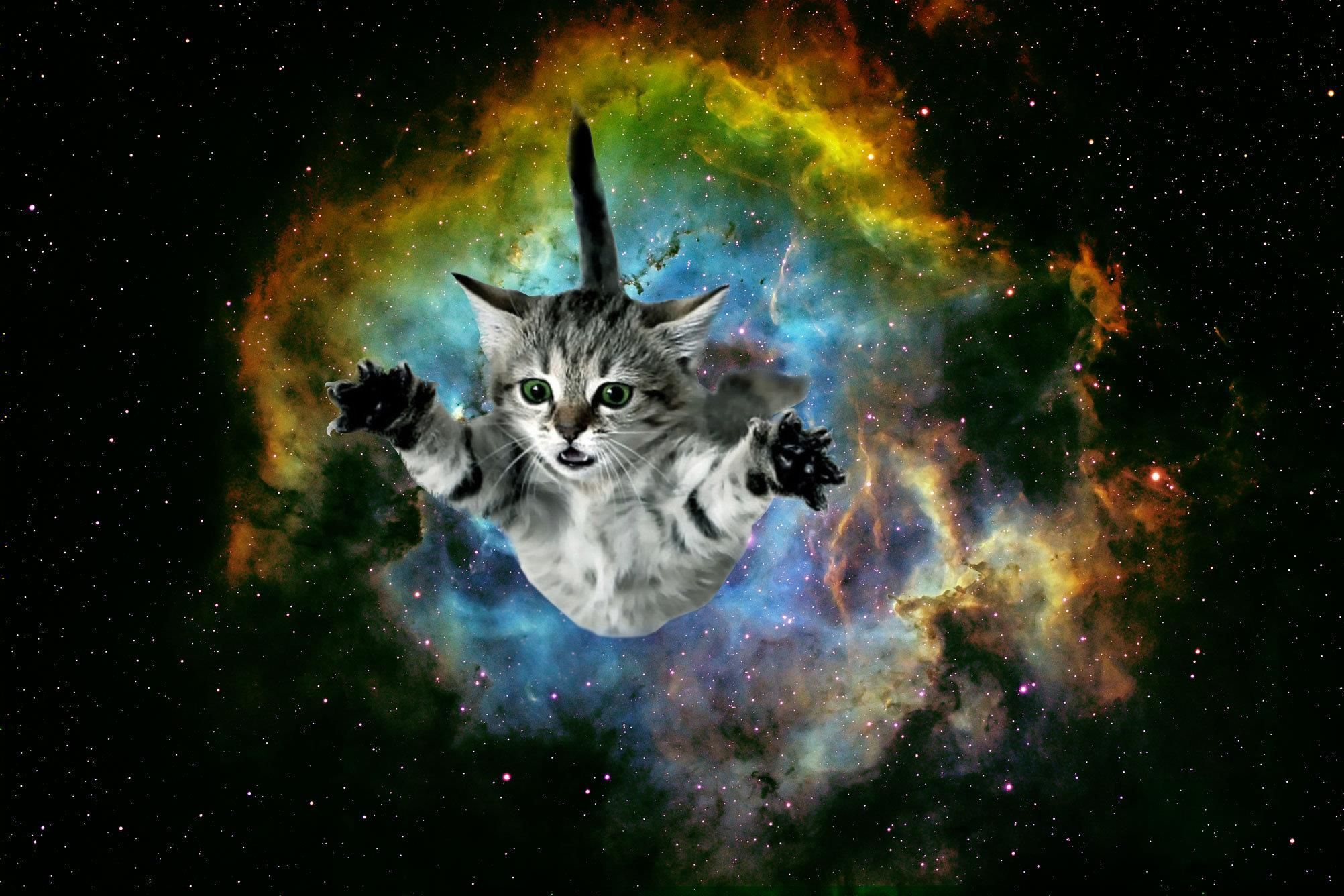 Gatto bianco dito medio galassia, 1039x1792 Full HD Verticale, Smartphone