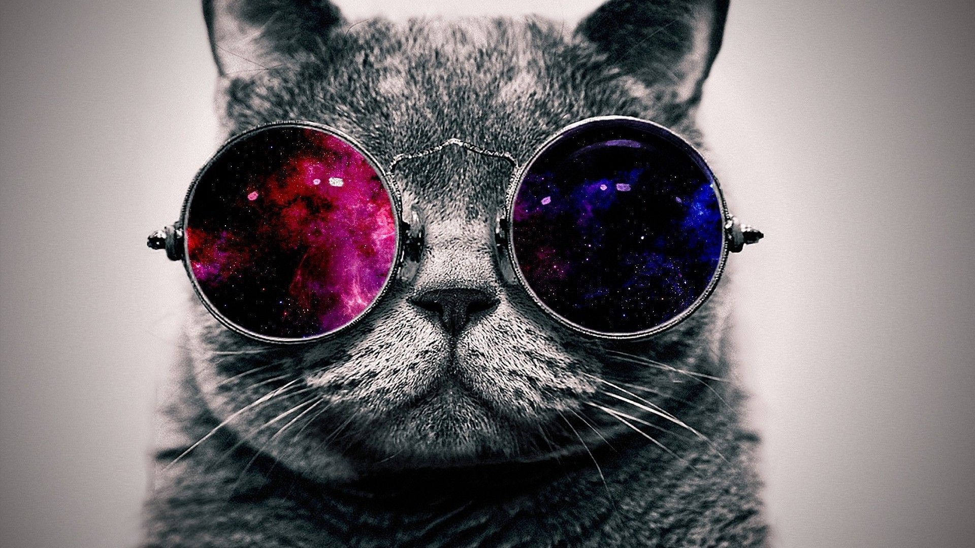 Gatto galattico colorato, 1073x1920 Full HD Verticale, Smartphone