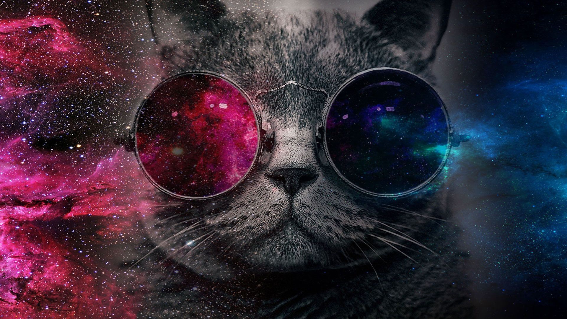 Gatto con occhiali galassia, 1920x1080 Full HD, Desktop