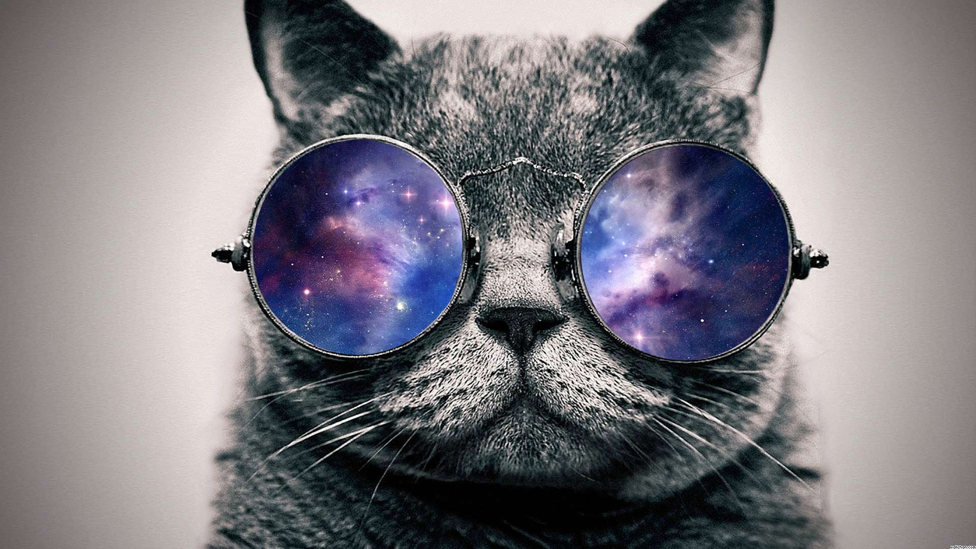 Gatto galattico colorato, 1080x1920 Verticale, Samsung Galaxy