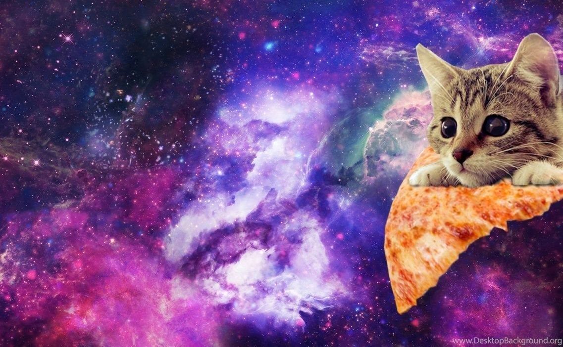 Gatti fluttuanti nello spazio, 1920x1080 1080p, Laptop