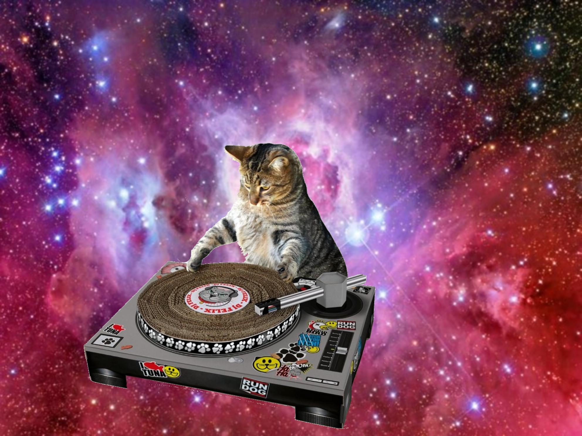 Gatto galattico con laser, 1280x851 720p, Lenovo Legion