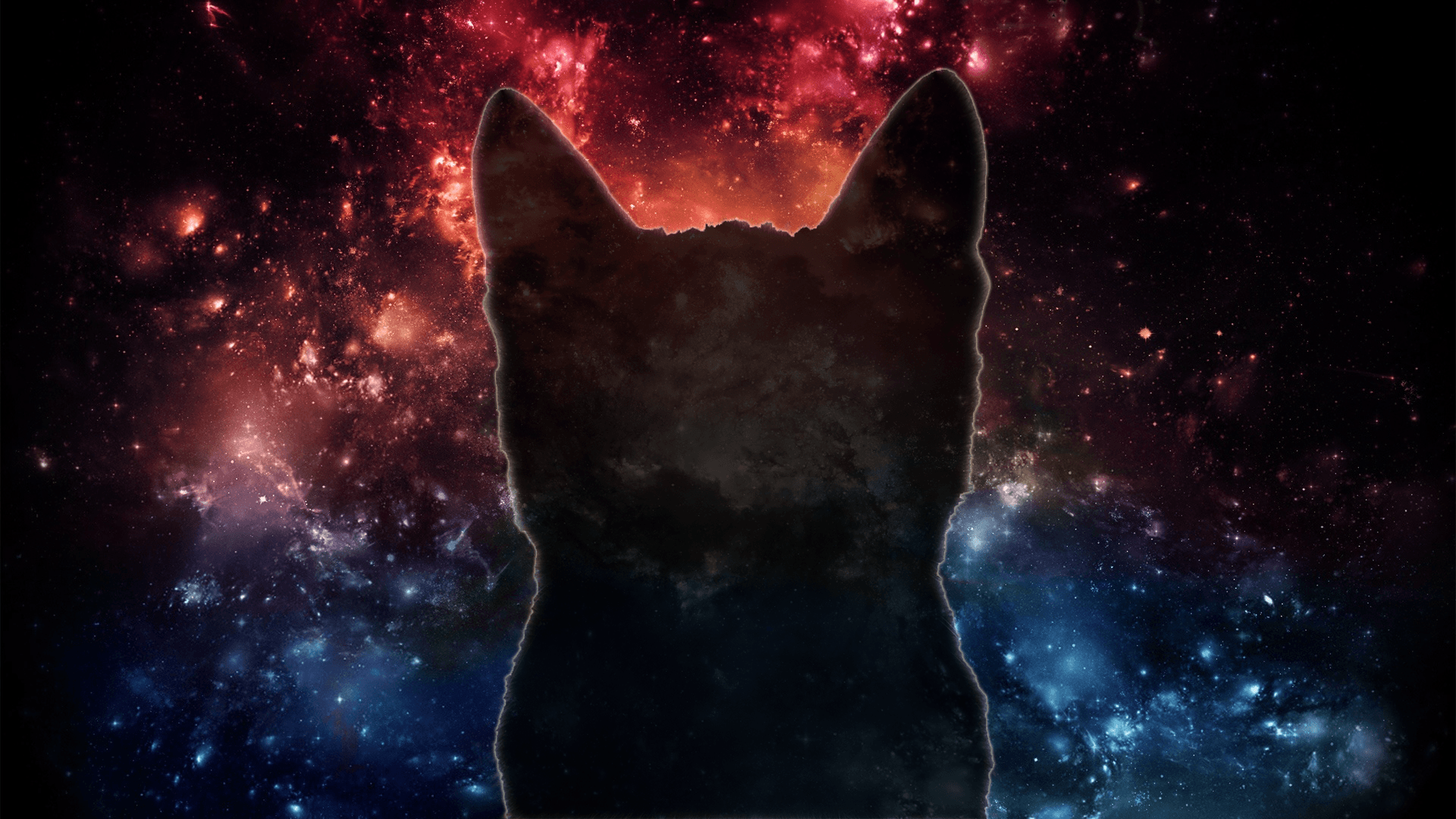 Silhouette gatto galassia stellata, 1920x1080 Full HD, PC