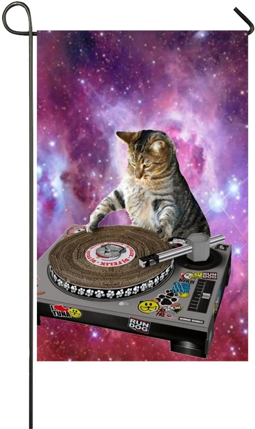 Gatto DJ nello spazio, 1984x1488 WUXGA, PC