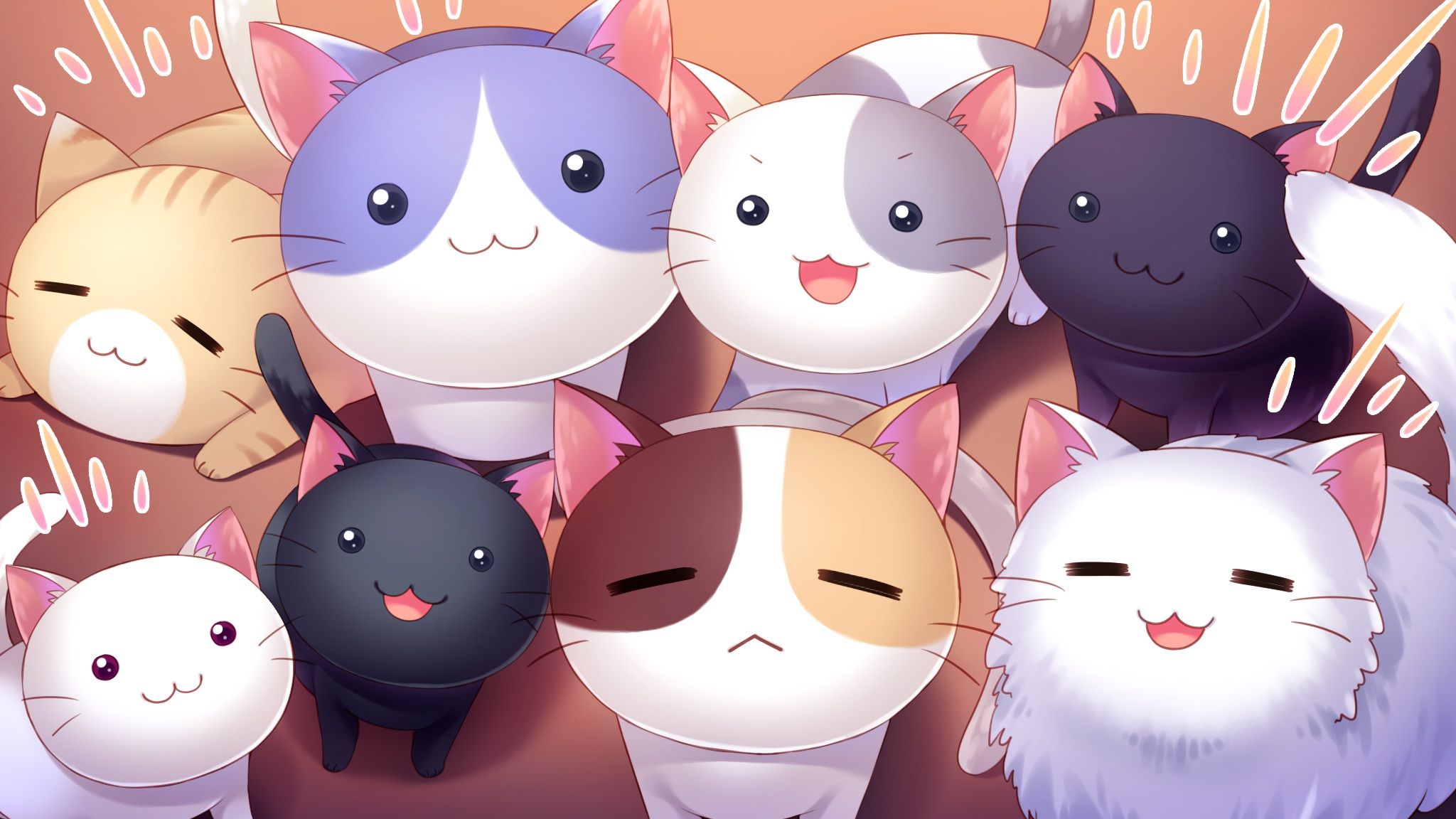 Gattini kawaii colorati, 2048x1152 Hi-Res, PC