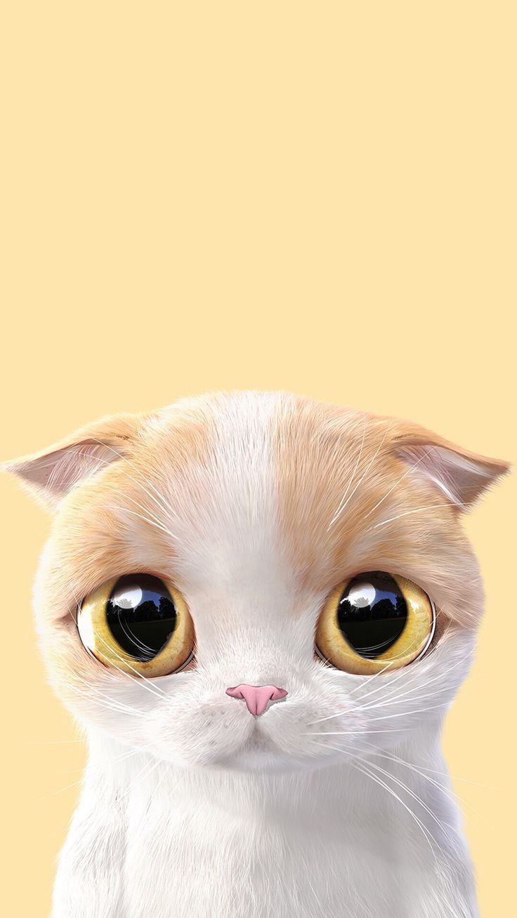 Gatto kawaii occhi grandi, 736x1308 Full HD Verticale, iPhone