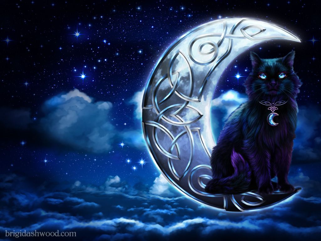 Gatto nero su luna celtica, 1024x768 HD, Desktop