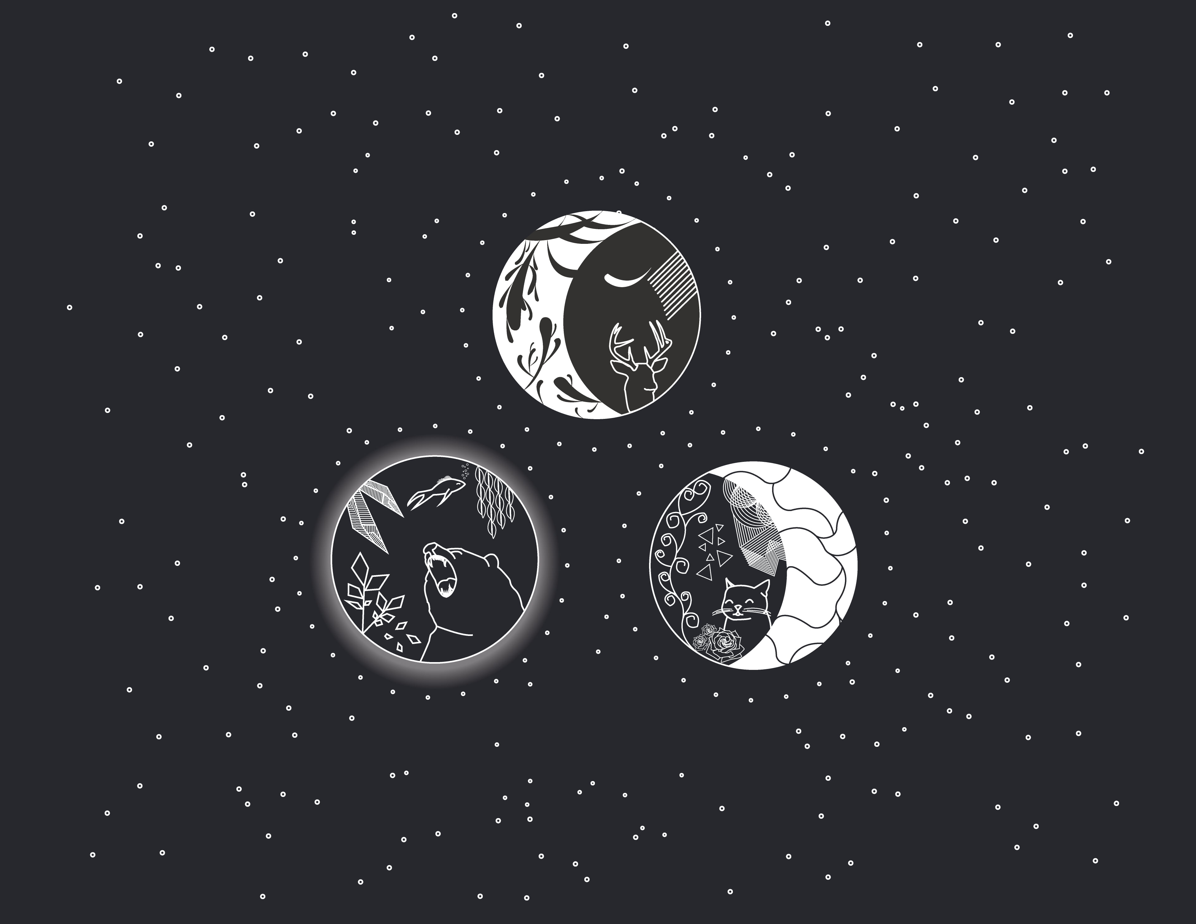 Gatto nero e luna piena, 1920x1080 1080p, Desktop
