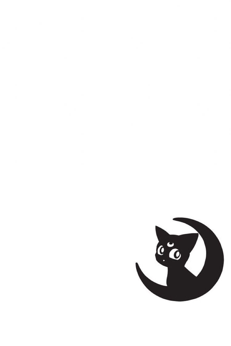 Gatto nero, luna, stelle, 3840x2967 4K, Desktop 4K
