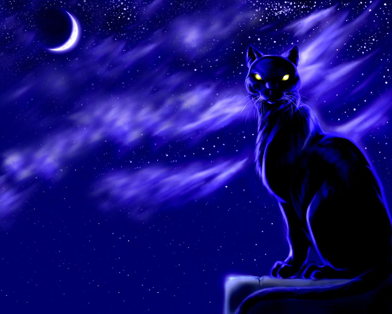 Gatto nero e luna crescente, 1280x1024 HD, HP Laptop