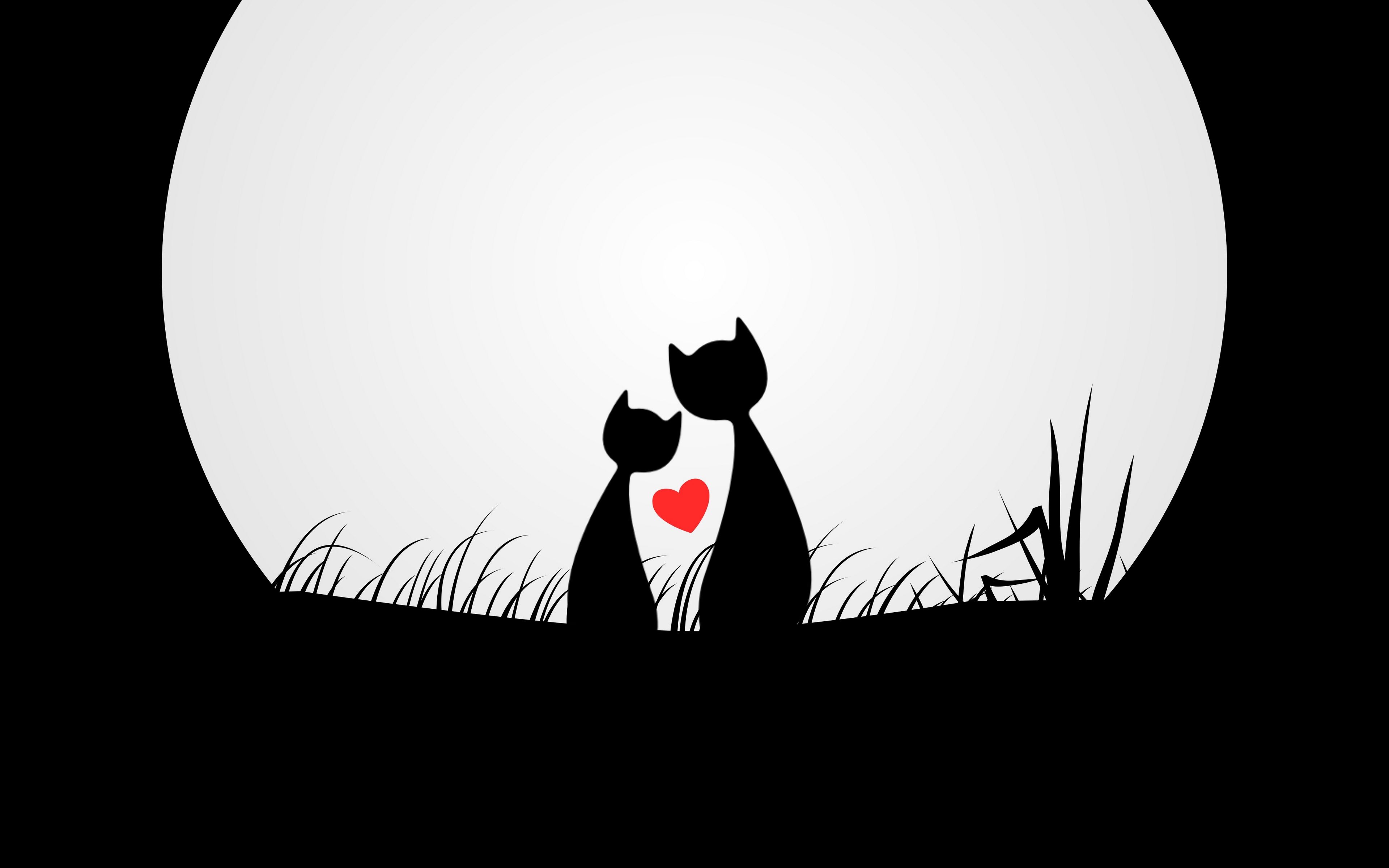 Gatti neri innamorati luna, 3840x2400 4K, Desktop 4K