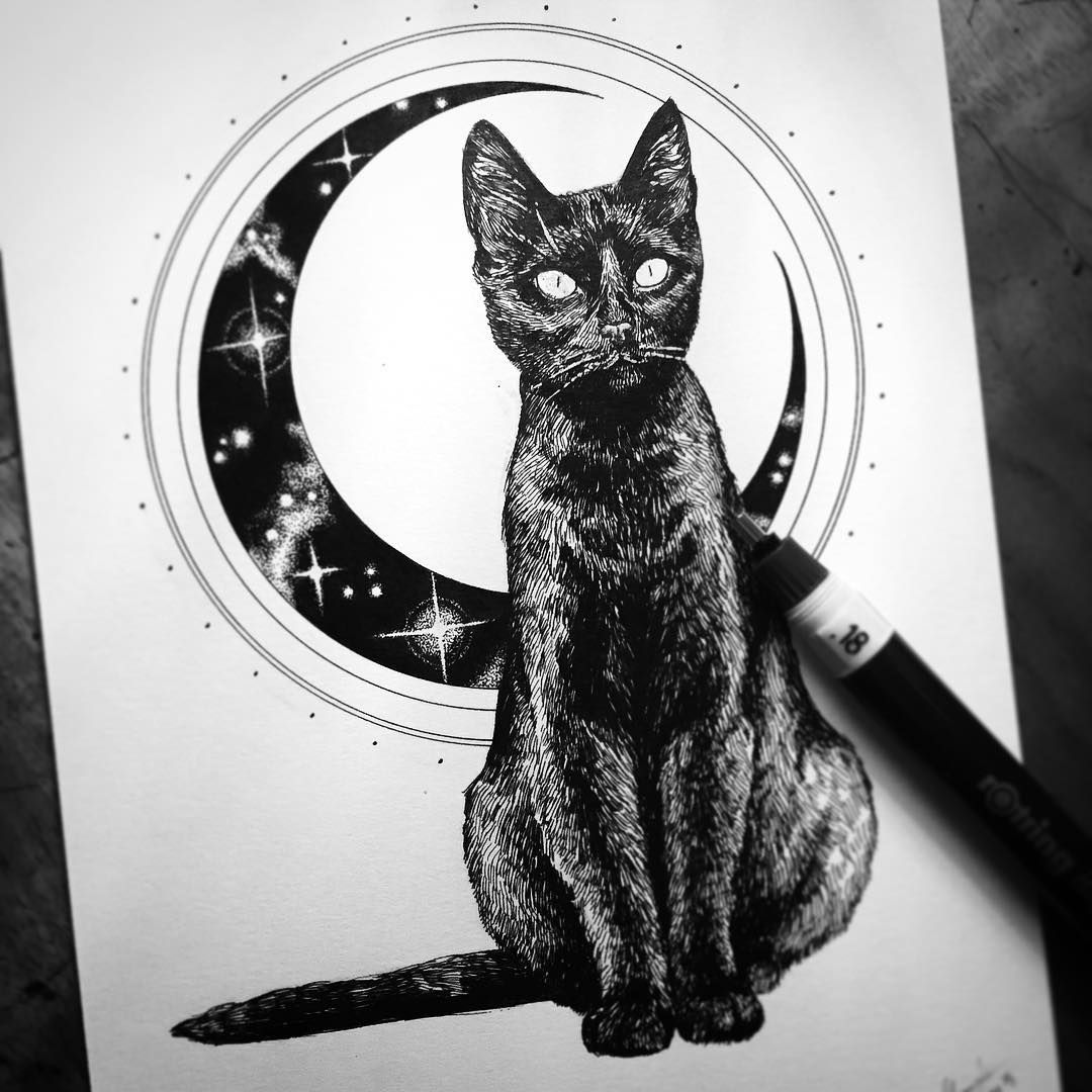 Gatto nero luna casa infestata, 1920x1080 1080p, Desktop