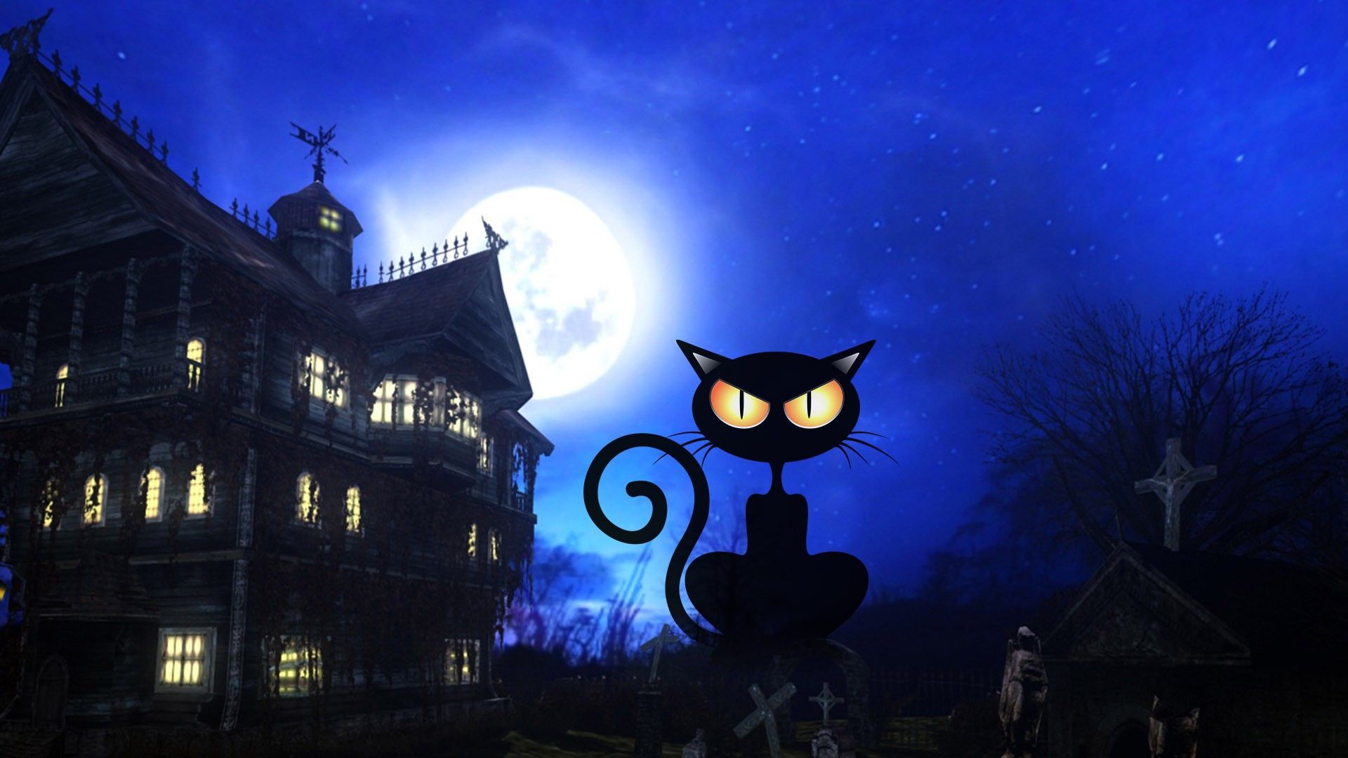 Gatto nero seduto su luna dorata, 1500x1500 HD, Desktop