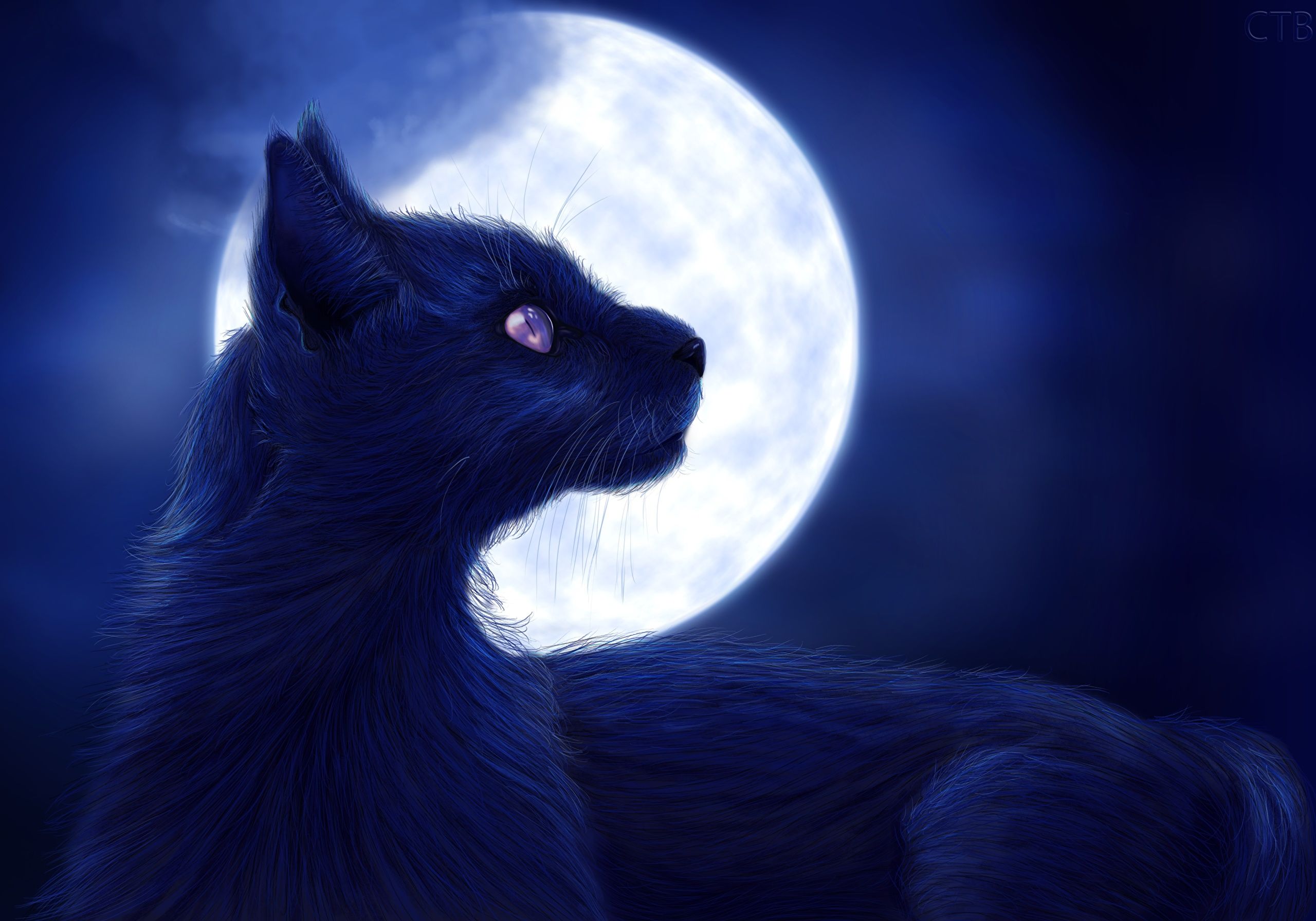 Gatto nero silhouette luna arancione, 768x1024 Full HD Verticale, Smartphone