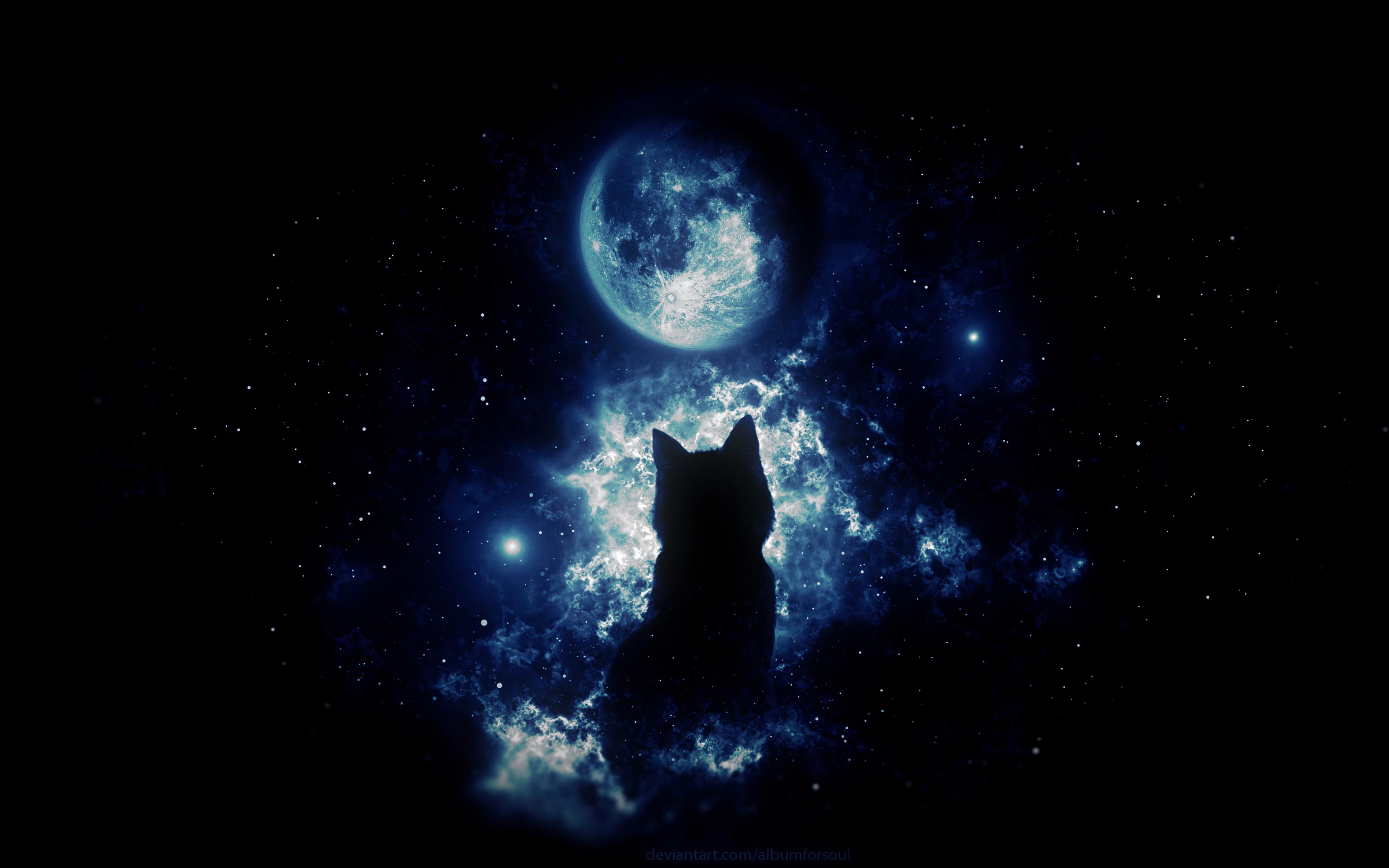 Gatto nero silhouette con luna, 3840x2400 UHD, PC 4K