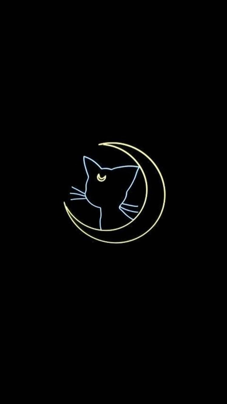 Gatto nero con luna piena, 2560x1792 WQXGA, Desktop