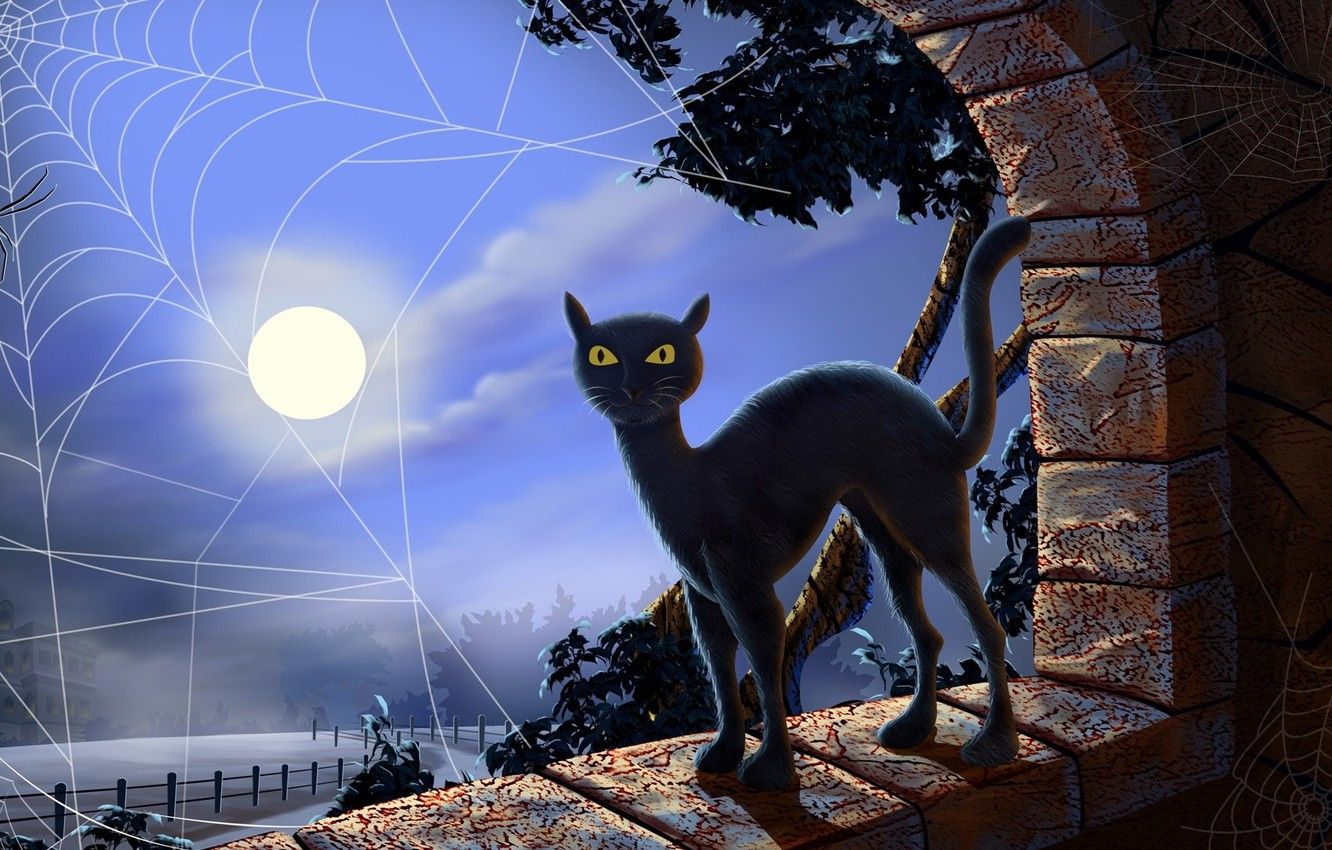 Gatto nero sorridente sulla luna, 1280x1024 720p, Laptop