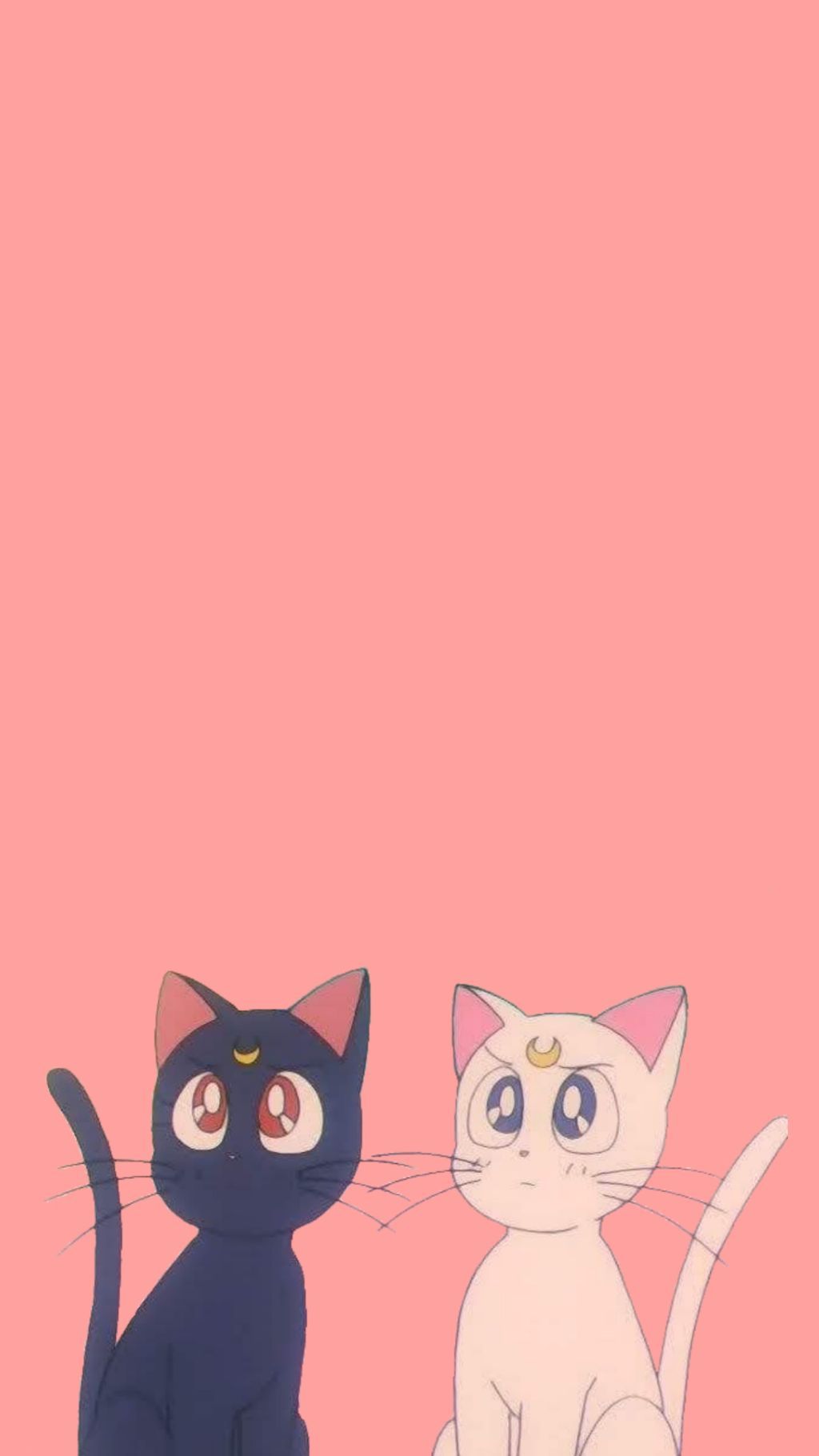 Gatto nero e coniglio sotto luna, 3840x1920 UHD, PC 4K