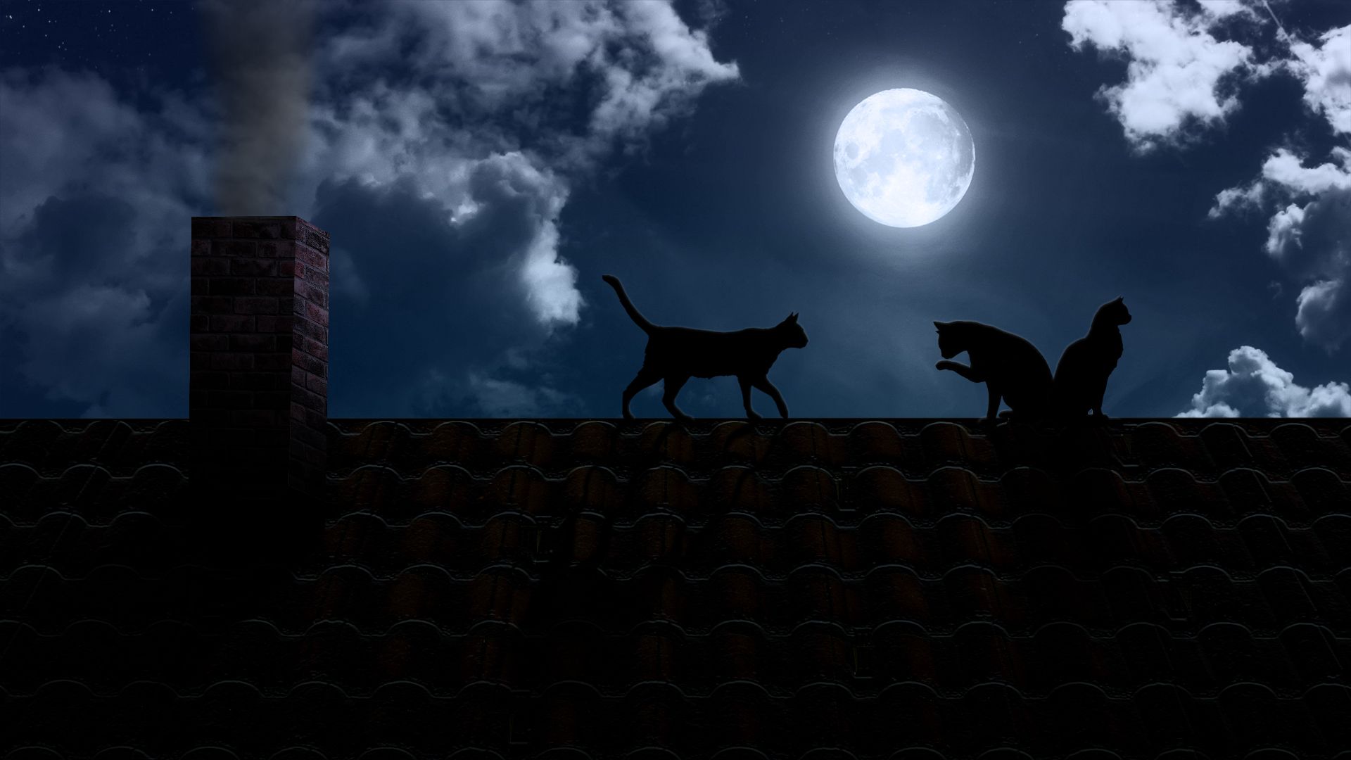 Gatti neri silhouette su tetto con luna, 1920x1080 Full HD 1080p, Desktop