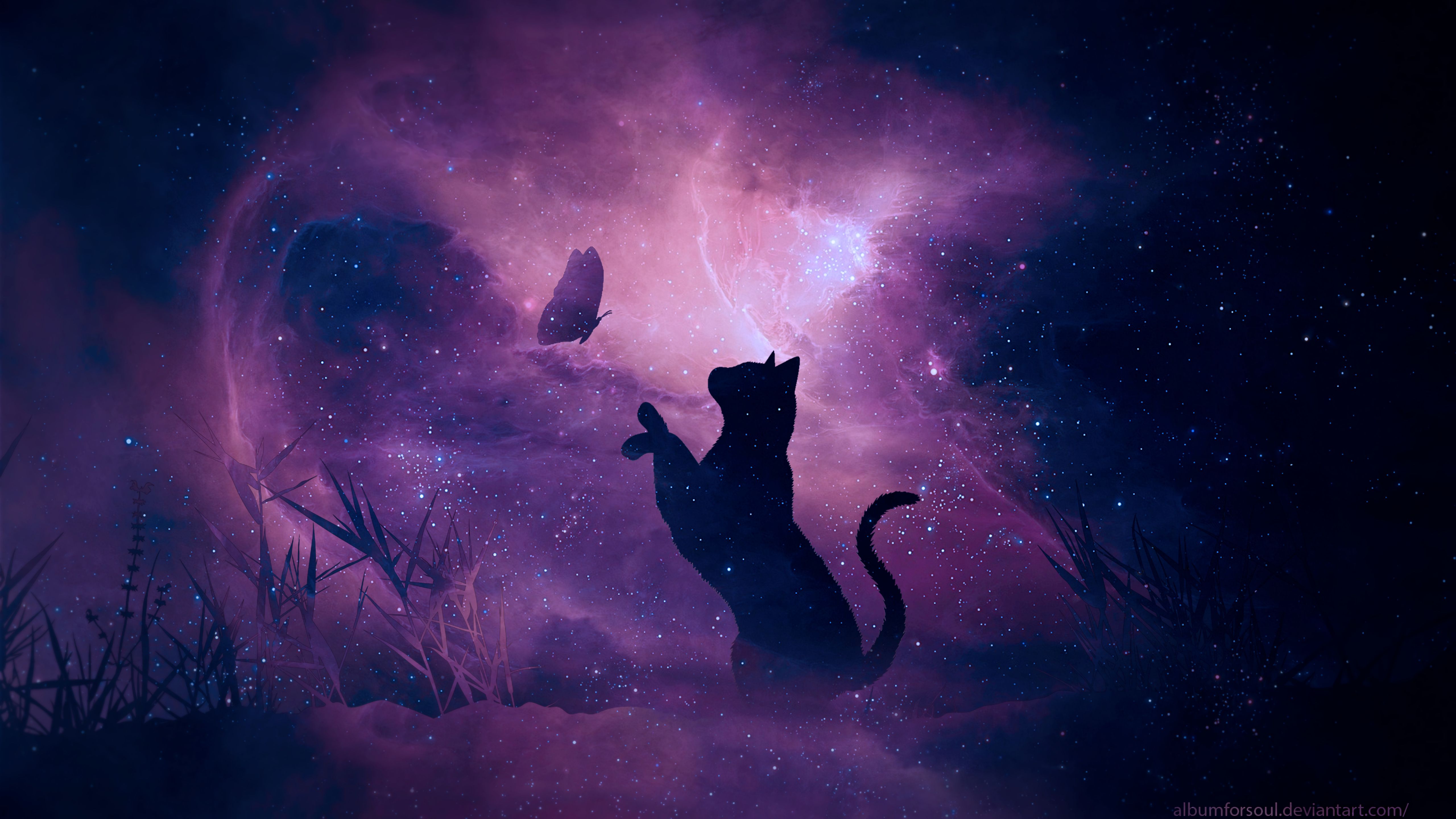 Silhouette gatto nero galassia viola, 5120x2880 4K, Desktop 4K