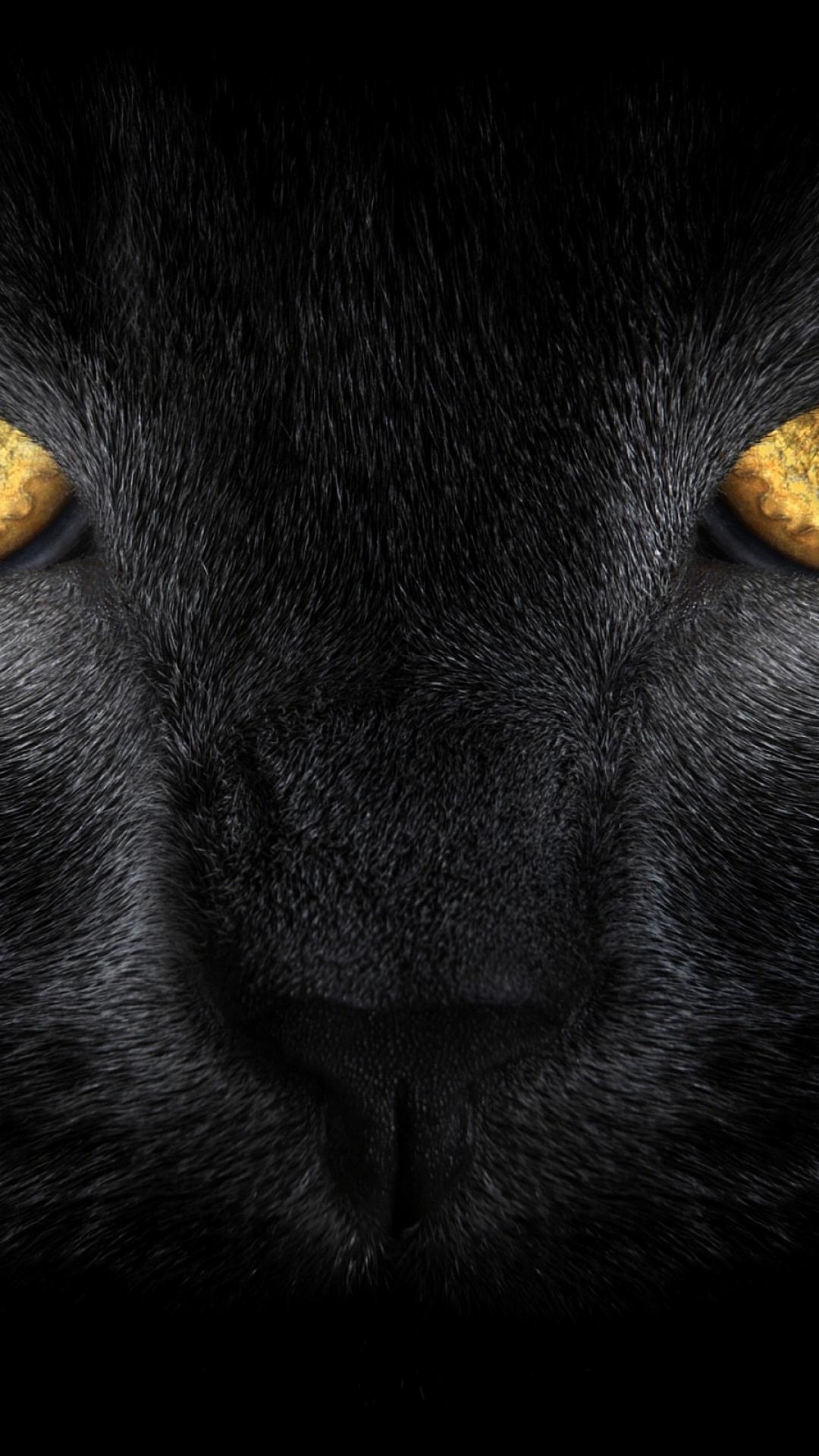 Gatto nero occhi gialli, 1080x1920 Full HD Verticale, Galaxy A