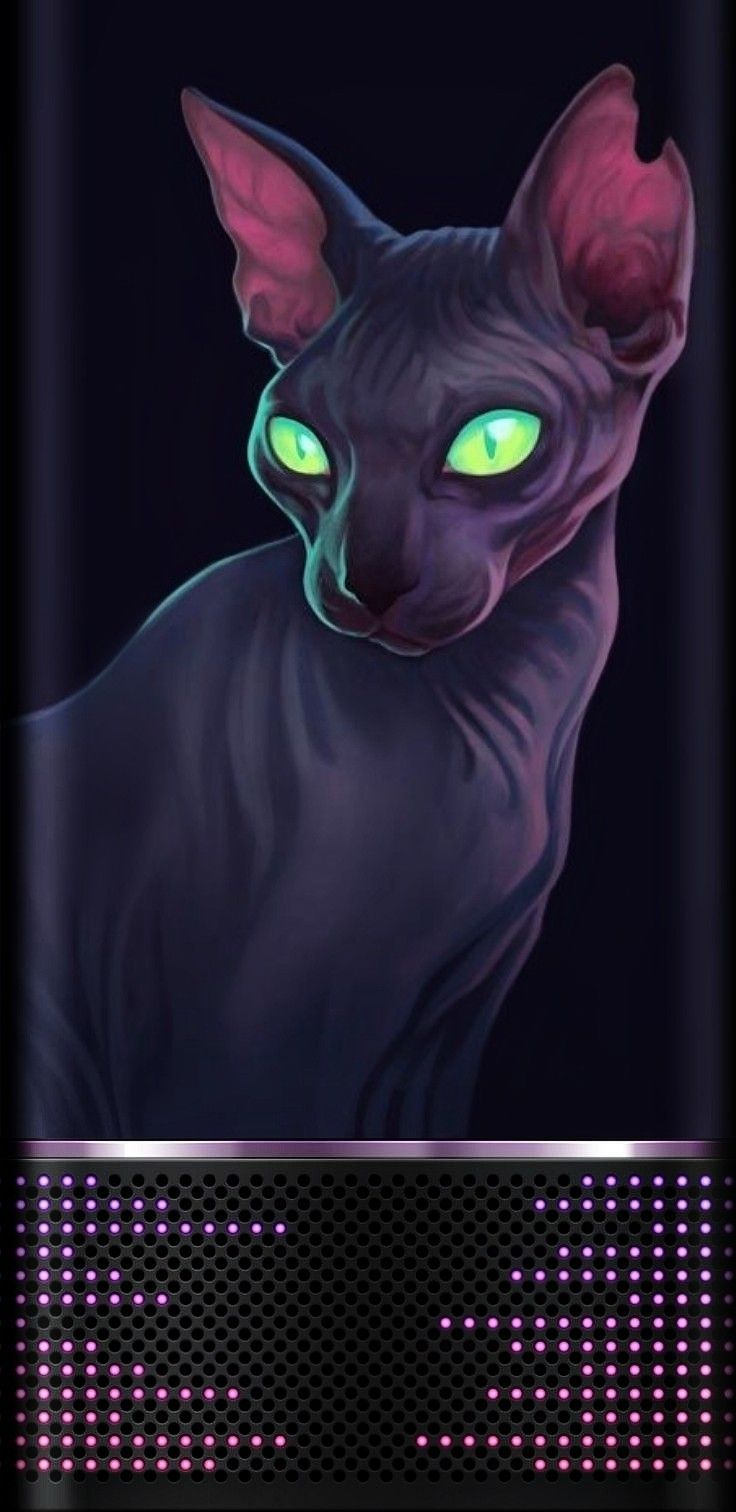 Gatto Cappuccetto Rosso illustrato, 1280x800 720p, Laptop
