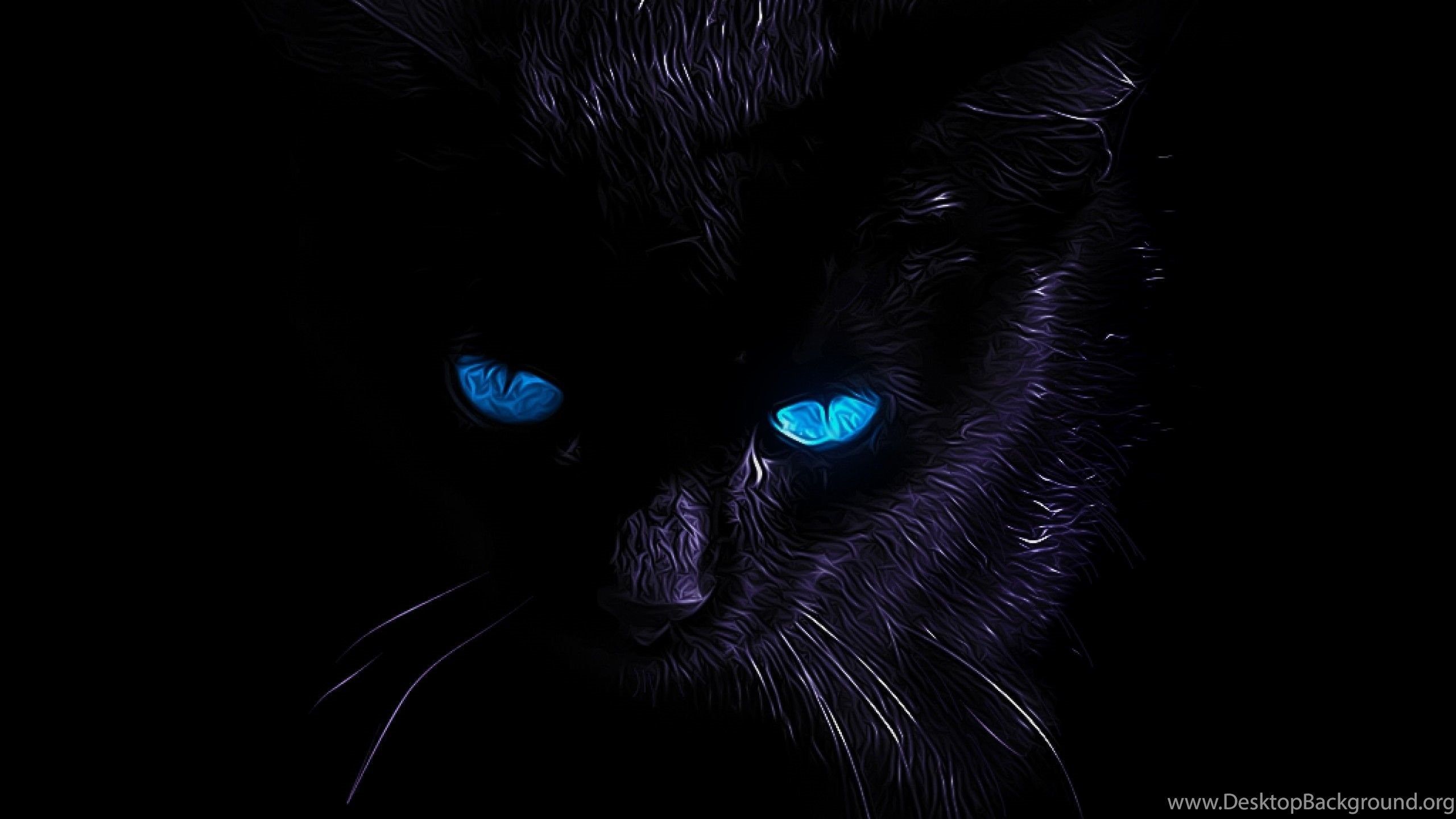 con Gatto Nero per Desktop, 2560x1440 2K, PC Desktop