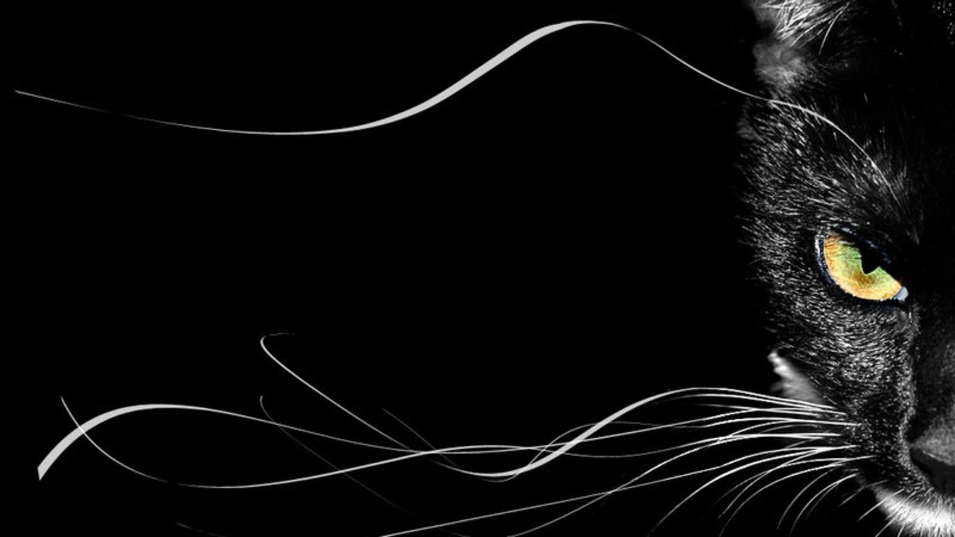 Gatto nero occhio giallo baffi, 1366x768 720p, Monitor Gaming