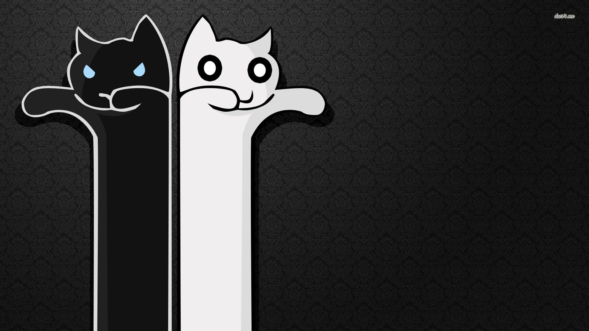 Gatto nero e bianco cartoon, 1920x1080 Full HD 1080p, Monitor Gaming