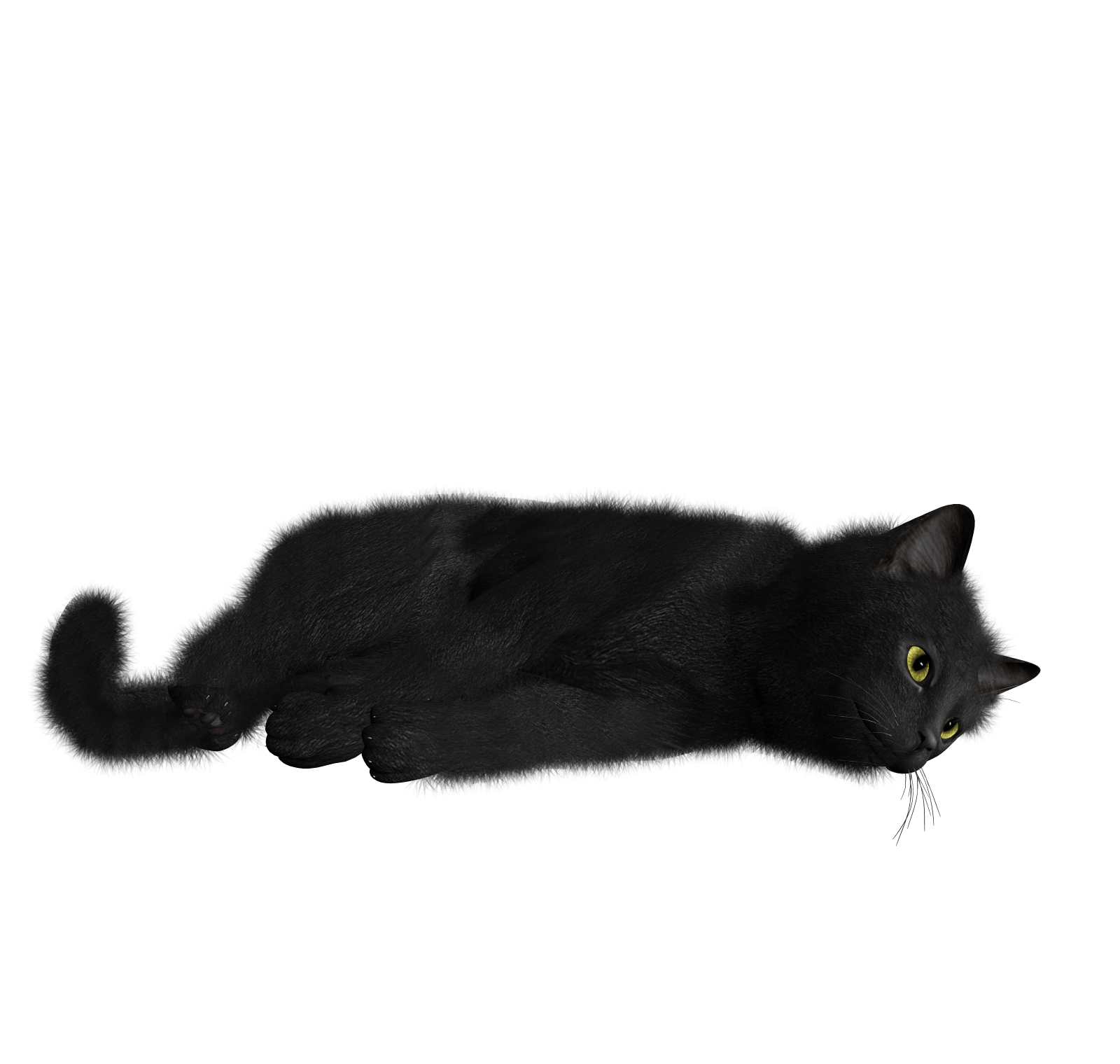 Gatto nero sdraiato, 1600x1520 900p, Desktop