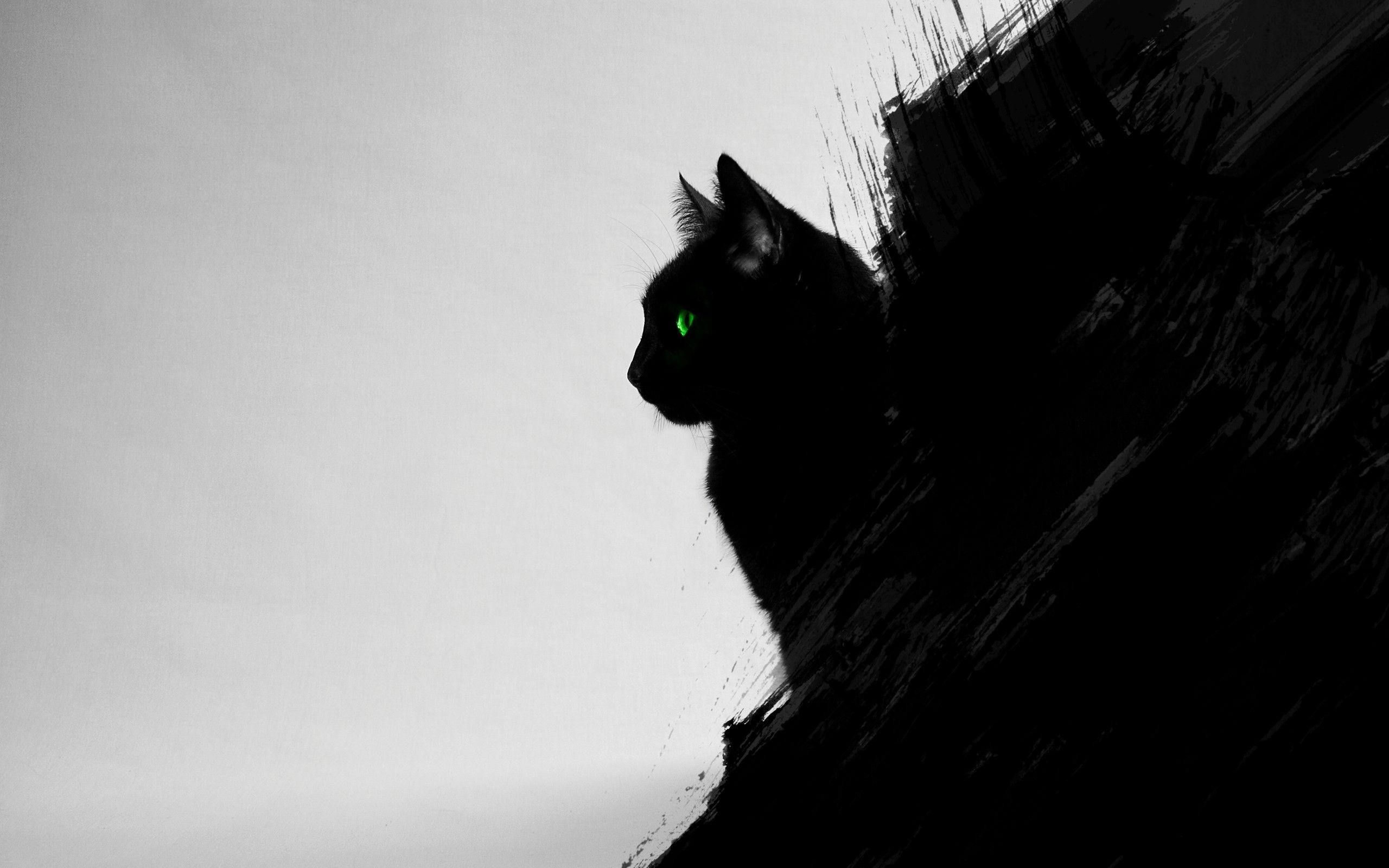 Silhouette gatto nero occhi verdi, 2560x1600 2K+, Desktop
