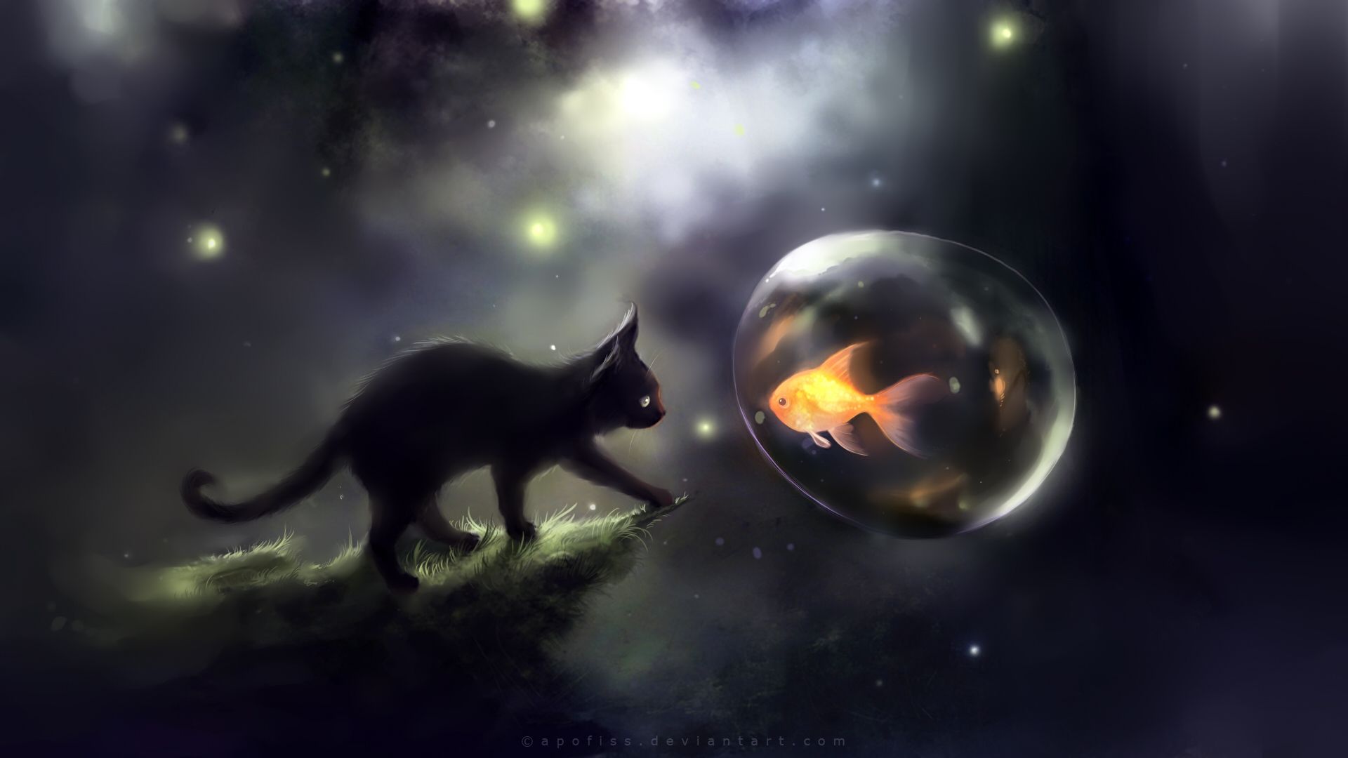 Gatto nero e pesce in bolla, 1920x1080 Full HD 1080p, Monitor Gaming