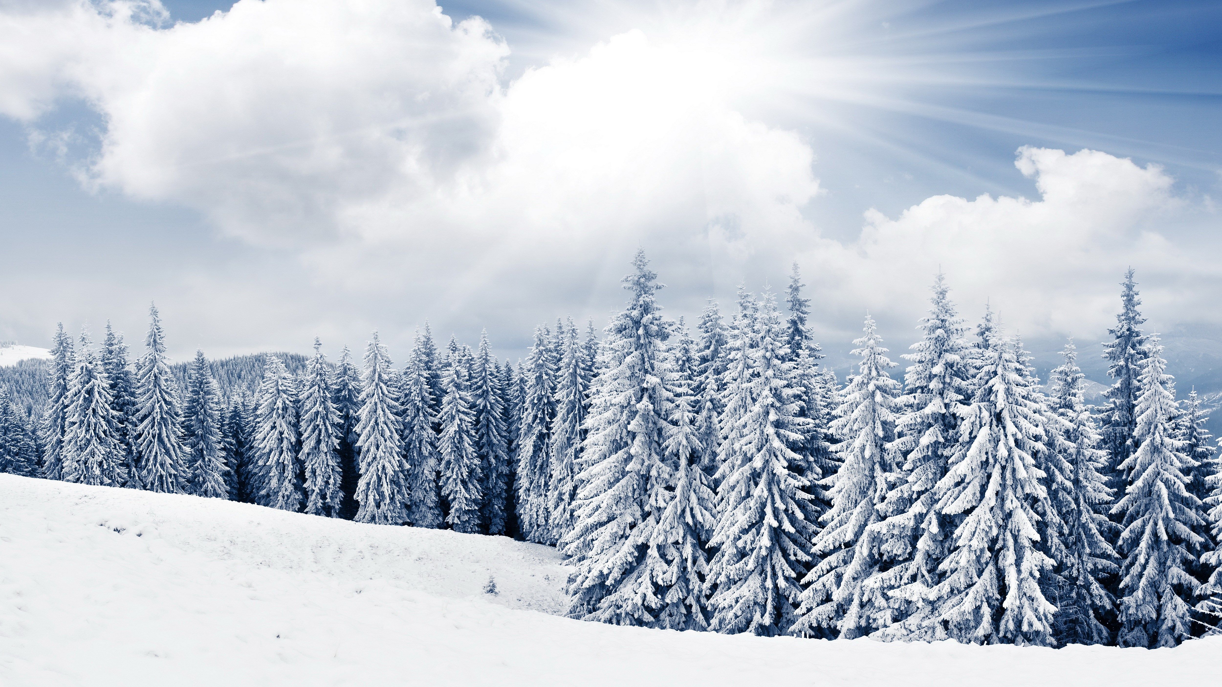Montagne innevate con calendario, 1440x900 720p, Laptop