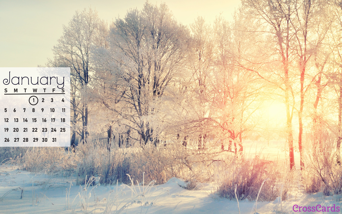 Fiocco di neve su neve, 5222x3264 UHD, PC 4K