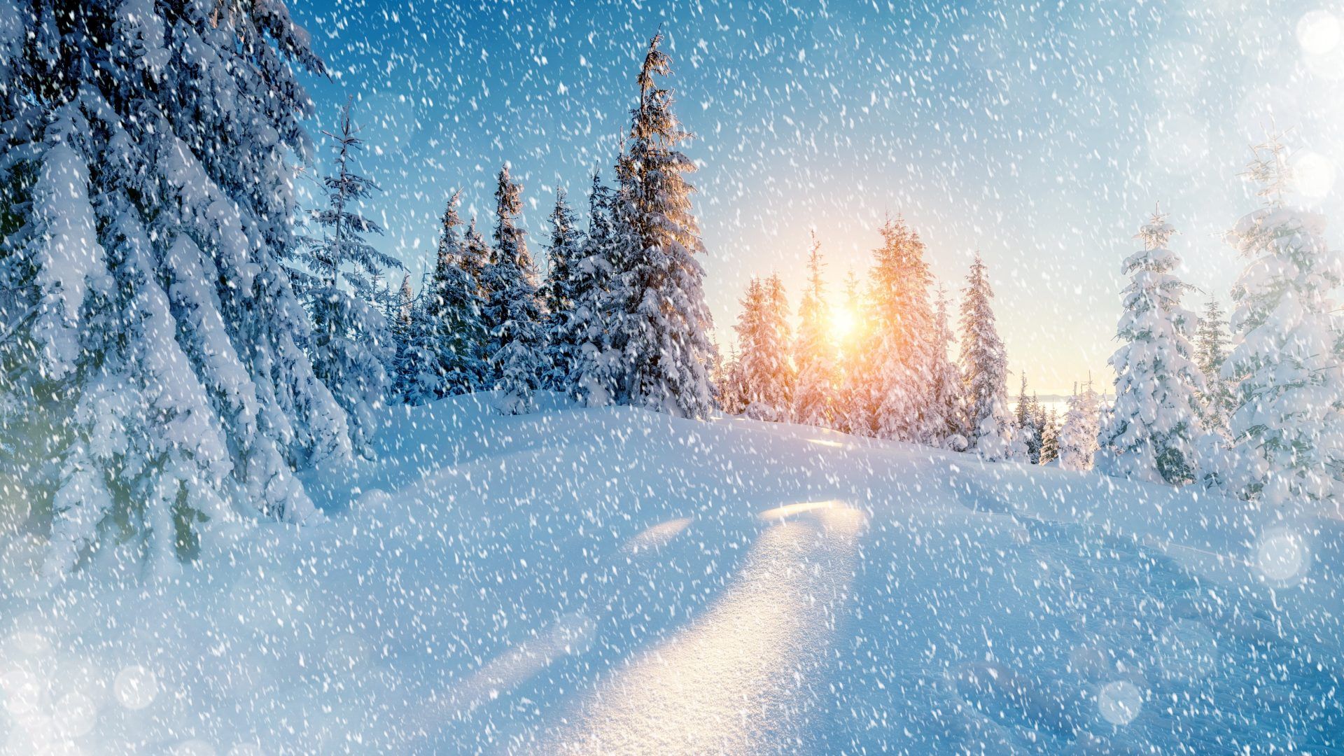 Calendario gennaio paesaggio innevato, 1440x900 HD, Desktop