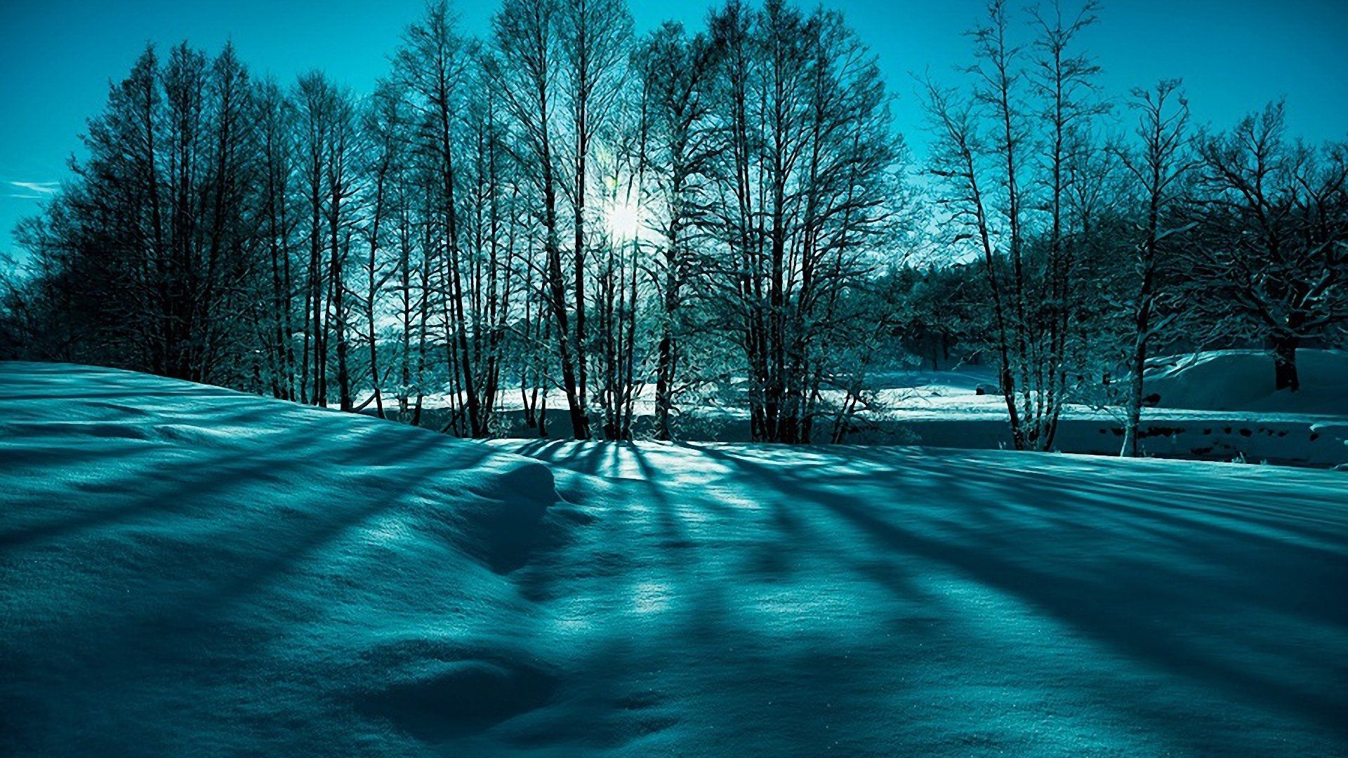 Ruota carro nella neve, 1280x800 HD, Desktop