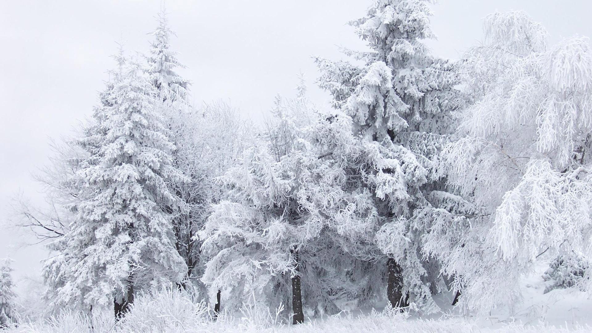 Pupazzo di neve e bambino, 1920x1080 Full HD, PC Desktop