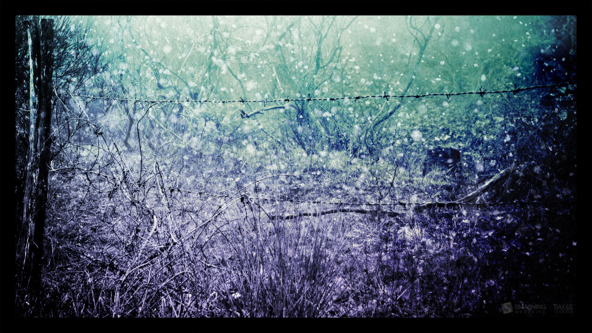 Paesaggio invernale innevato blu, 1920x1080 1080p, Laptop