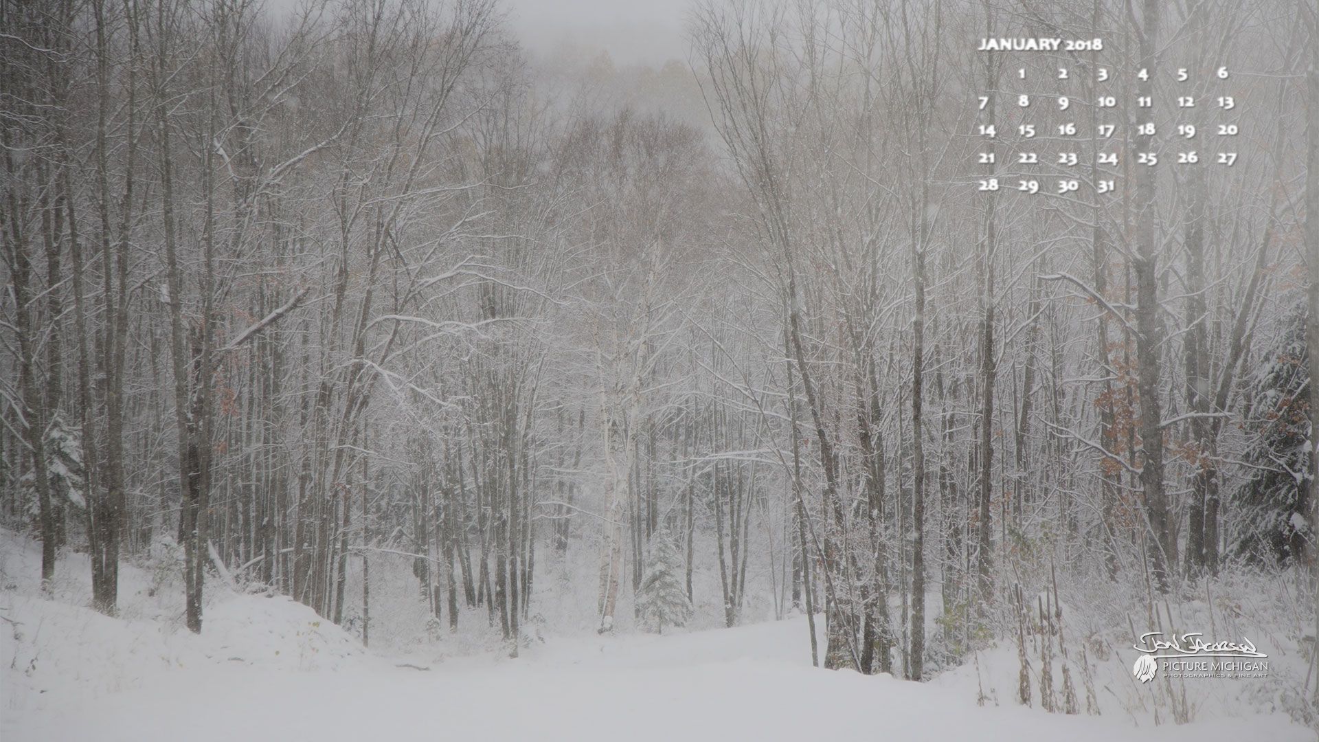 Calendario gennaio pini invernali, 1440x900 HD, Desktop