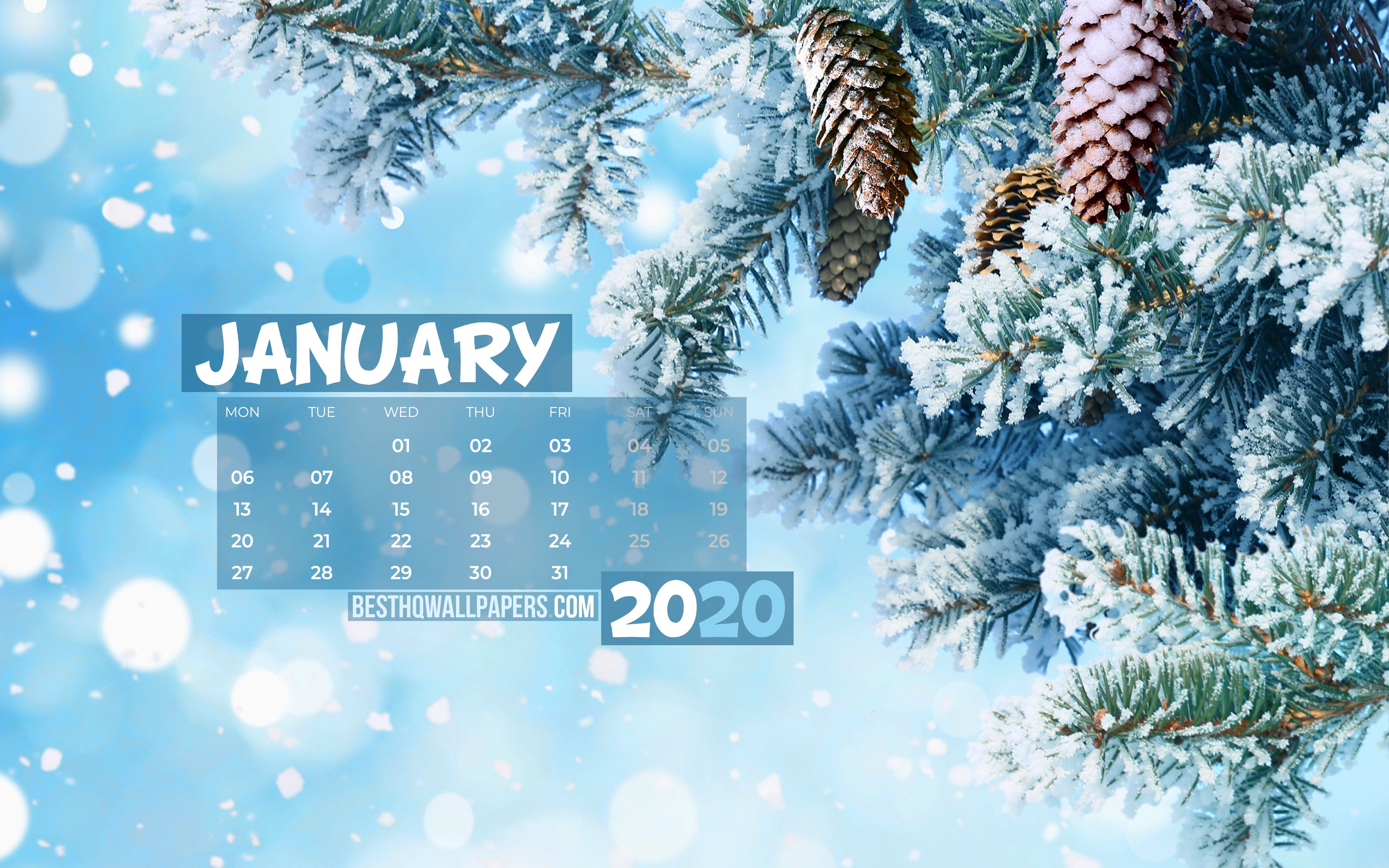 Rami gelati con calendario gennaio, 768x1024 Verticale, Telefono